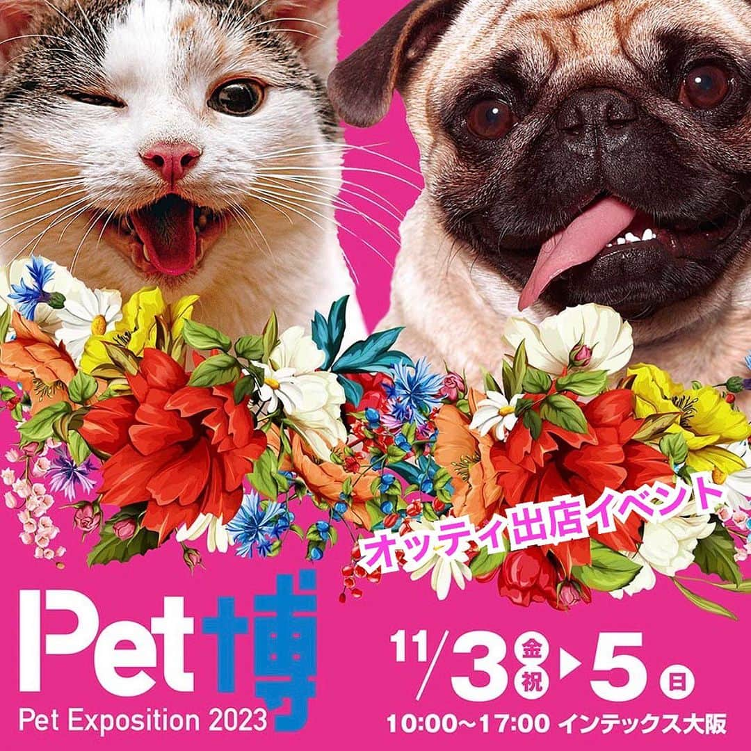 大原かおりのインスタグラム：「11月3日(金祝)〜5日(日)の三連休は、 インテックス大阪でPet博が開催されます🐶😻💕 (※ペット同伴OKです🐶😽)  今回もOtty(オッティ)ブース出展致します🤗🐶🎶  今回もOtty商品がイベント価格でお買い求めいただけますので、ペット博にお越しの方はぜひOttyブースにも遊びに来てくださいね🤗❤️  大人気の国産おやつもイベント価格で販売です♡ 大阪ペット博では初の販売となりますので、 ぜひGetしに来てください🐶🍖  それと♡♡♡人気バッグブランドMEIとのコラボバッグや、可愛くて使いやすいヘアアクセ、カートフック、デコスリッカーや、お洋服に付いたワンちゃんの毛を洗濯時に絡め取ってくれる画期的なスポンジや、アンモニア(ワンちゃんのおしっこやうんち)の匂いがお花の香りに変わる魔法のようなスプレー、キティちゃんのお名前入れタオルなどなど。。 あっ…昨年買い忘れた〜(pωq｡)💦とか あの商品気に入ったからまた買おう〜🐶💓 という方も♡♡ ぜひOttyブースにGetしに来てください🥰🛍️  旧作商品のSALEコーナーは相変わらずに かなりのお買い得価格です❣️❣️ お洋服は全て試着も可能です♡  そしてそして♡♡ 毎回恒例のメインステージでの 『大原がおりのじゃんけん大会』は ３日間とも14時からです✊✌️✋  愛しのペットちゃんと一緒にぜひ 遊びに来てくださいっ🐶💓 笑顔でお待ちしとります〜♪(´ε｀ )❤️  ⑅◡̈⑅ ペット博に関しての詳細は、 ペット博オフィシャルサイトをご覧ください💁‍♀️🔍 http://pethaku.com/osaka  ペット博 大阪2023 開催日: 11月3.4.5日(金.土.日) 開催時間: 10:00〜17:00 会場:インテックス大阪 4号館 大阪市住之江区南港北1-5-102  ⑅◡̈⑅ ♔∴∵∴♔∴∵∴♔∴∵∴♔∴∵∴♔∴∵∴♔∴∵∴♔ ⑅◡̈⑅  #ペット博 #Pet博 #ペット博 #大阪ペット博 #インテックス大阪 #Otty #オッティ #犬服 #犬グッズ #ステージイベント #松本秀樹 さん#ポカスカジャン #大久保ノブオ さん #25代目豆助 #みよP #和風総本家 #大原がおり #じゃんけん大会 #よびもどし選手権 #愛犬ペットの似顔絵 #わんちゃん大運動会 #キャットショー #セラピードッグ #鳥のサーカス #爬虫類 #わんちゃんしつけ教室 #遊びに来てね #💕」