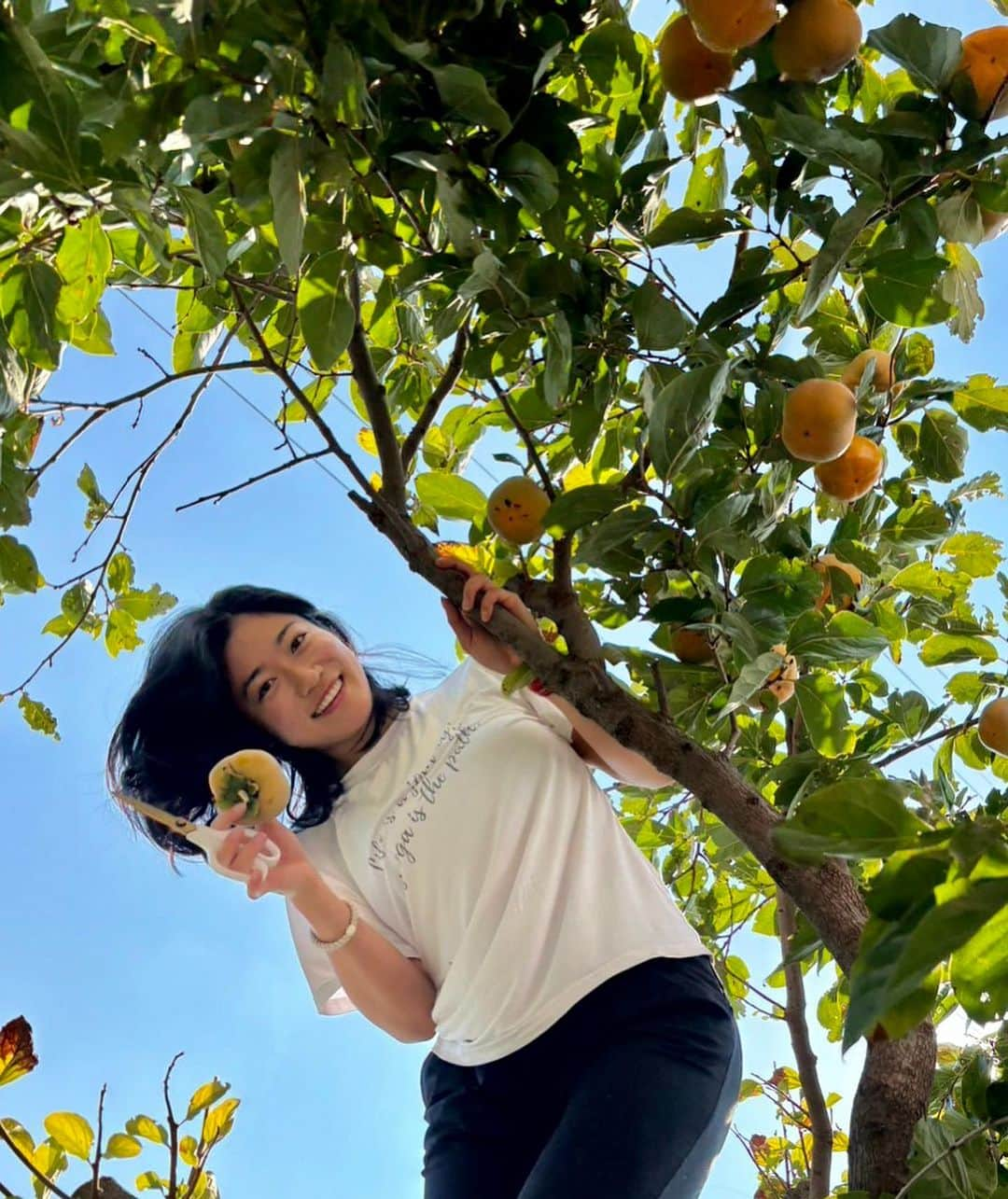 大野南香さんのインスタグラム写真 - (大野南香Instagram)「*干し柿作り！Hoshi-gaki, dried persimmon !  大大大好きな柿♡ 初めての干し柿作りに挑戦！ 思った以上に簡単にできた〜 どうなるか、楽しみだな〜  2年ぶりの日本の秋、 当たり前に柿がたべられる幸せ しみじみと感じてるまいにち  あまあまより しゃりっと食べられる硬い柿がすき  Making "hoshi-gaki (dried persimmon)" for the first time! Looking forward to the results:) I put lots of love so I'm sure it'll be so delicious!  #everydayhappy � ☺︎ #kaki #persimmon #干し柿作り」10月28日 18時27分 - minaka_official