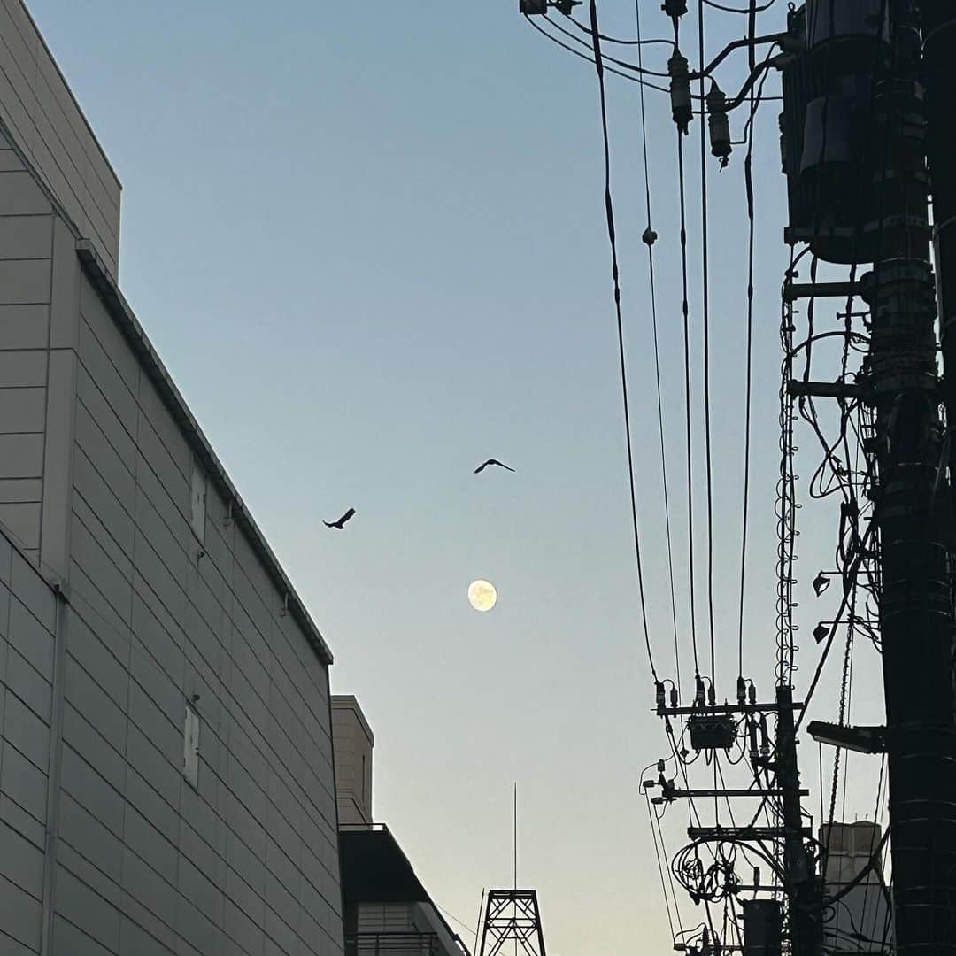 犬塚ヒカリさんのインスタグラム写真 - (犬塚ヒカリInstagram)「🐦‍⬛」10月28日 13時03分 - inuzuka48