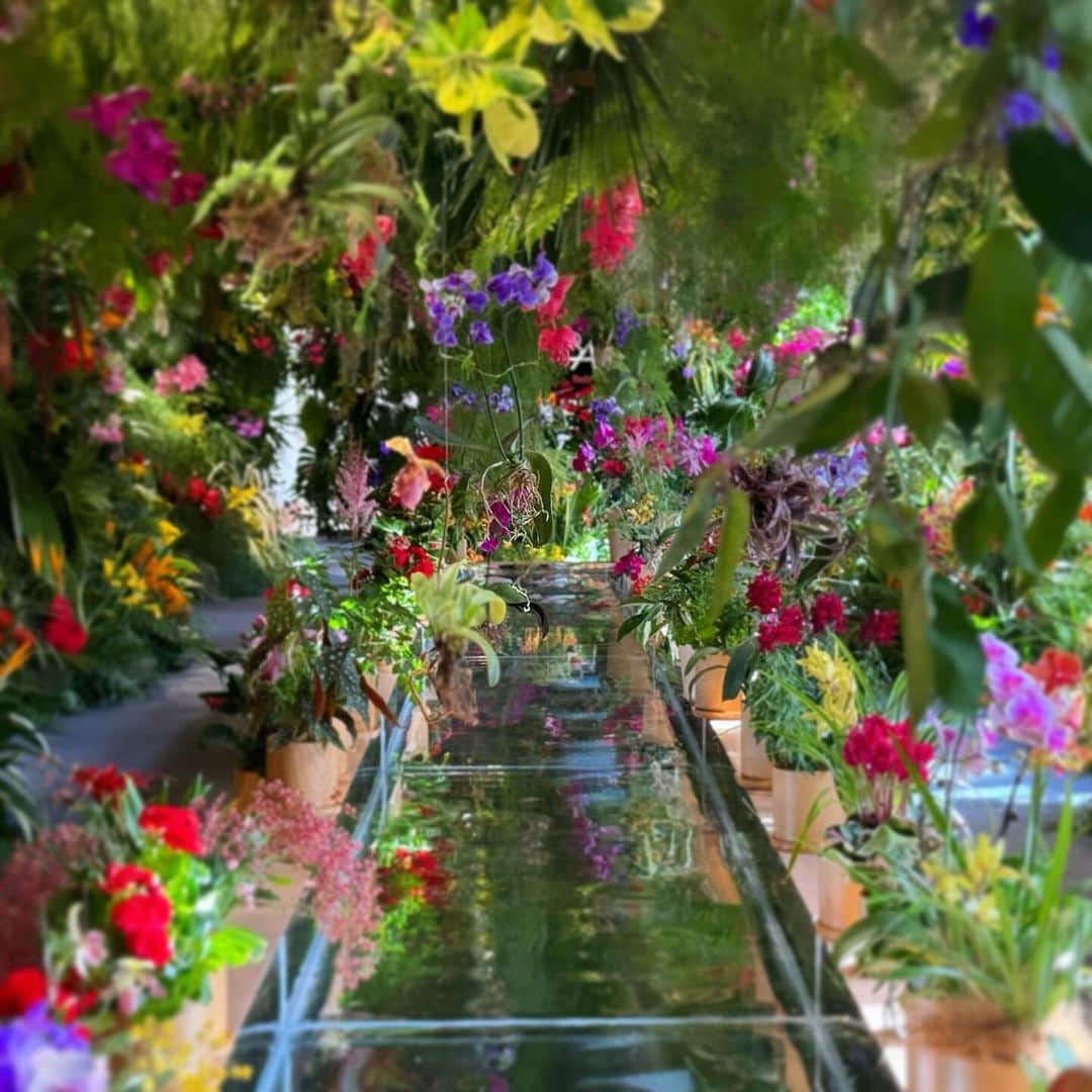蜷川実花のインスタグラム