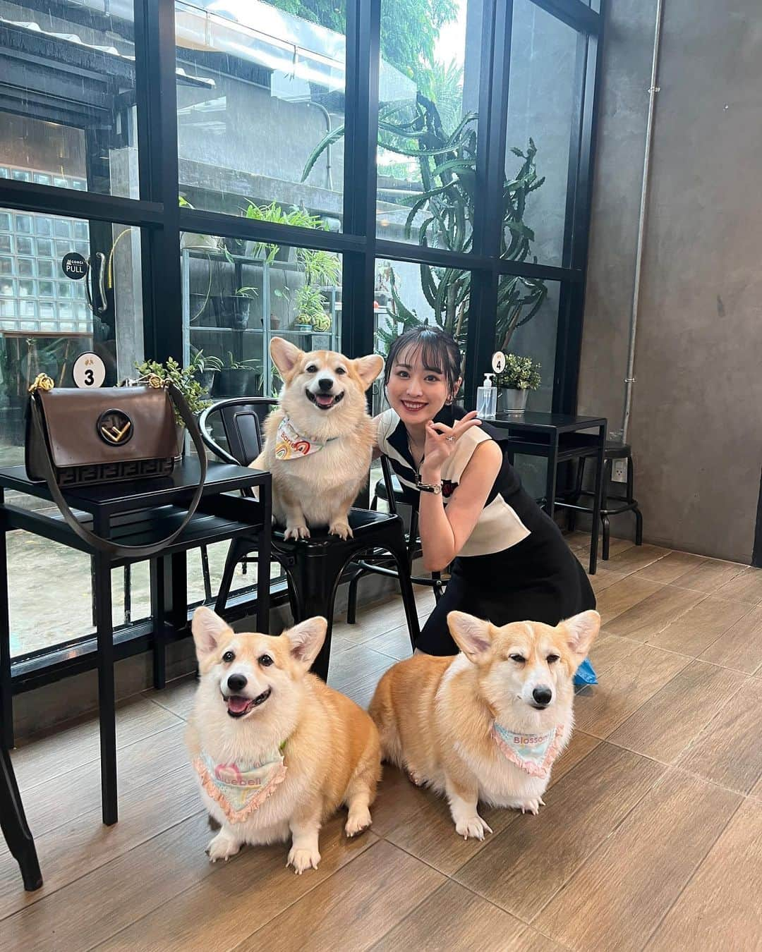 待鳥志織さんのインスタグラム写真 - (待鳥志織Instagram)「コーギーカフェ🐶♡ 凄く気になってから1人で行ってきた🤣笑 可愛すぎて終始悶絶。そしてカフェのケーキも美味しかった また行きたーい！🇹🇭 #タイ#バンコク#タイ旅行」10月28日 14時00分 - __.shiori_