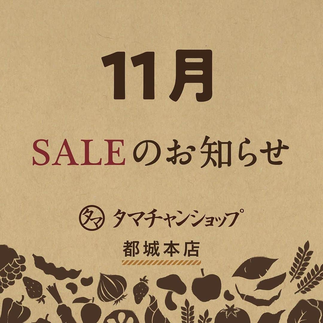 タマチャンショップ都城本店のインスタグラム：「. .  今年も残り２ヶ月となりました！一年あっという間ですね🍃  来月も本店は盛り上がる企画をご用意致しております☆  本店より、来月の物販企画販売のご案内です📣  ¯ ¯ ¯ ¯ ¯ ¯ ¯ ¯ ¯ ¯ ¯ ¯ ¯ ¯ ¯ ¯ ¯ ¯ ¯ ¯ ¯ ¯ ¯ ¯ ¯ ¯ ¯ ¯ ¯ ¯  《期間11月1日~11月15日》  ◉ハトムギ・ぽんぽこぽん　各種20%OFF  ◉こうそ&コラーゲンセット　¥3,980 → ¥2,980 (マリンコラーゲンは対象外)  ◉まめミルク/たまねぎスープ/三十雑穀スープ　　　　 ¥2,862 → ¥2,480  ◉新商品ベジ畑　各種¥888  《期間11月1日~11月30日》  ◉生活応援セット ①こうそ/完全栄養食/タンパクオトメ　¥14,406 → ¥10,000 ②オサカーナ選べるチーズ味2袋/そらまめっちチーズガーリック/チーズとチーズ¥2,320 → ¥1,980  ◉三十雑穀甘酒　20%OFF  ◉みらいのしょうが、しょうが湯、しょうが紅茶　各種20%OFF  ◉ハンドクリーム&ハンドソープ(容器付き) ¥2,548 → ¥1,980  ◉完全栄養食　2袋 ¥12,000  3袋 ¥16,000   《期間11月17日~11月30日》  ◉昆布(日髙・利尻)＆ふりかけ(めかぶ・のどぐろ等)２点セット　￥700  ◉美容おやつセット￥2,200　(11/14 アンチエイジングの日) ハニービーモンド＆クルーミー＆プチスコ＆いのちのワイン分包３袋  《期間11月23日~11月26日》  ◉黒尽くめセット　￥4,980 (ブラックフライデー11/24)　 ミックスナッツナッツカカオ仕立て/三十雑穀米黒300g 黒のりパリッチ/オーガニーチョ/オサカーナ明太子 ワカメッチ/三十雑誌デトックスープ/いのちのワイン分包3袋  ────────────────── お問い合わせはこちらから↓↓ タマチャンショップ都城本店 宮崎県都城市平江町47-10 営業時間  10:00～18:30 TEL  090-3857-6554 . . ────────────────── #タマチャンショップ #タマチャンショップ都城本店 #宮崎カフェ  #都城カフェ  #都城カフェ #都城ランチ  #セール #企画 #物販  #タンパクオトメ #完全栄養食  #オサカーナ  #みらいのしょうが」