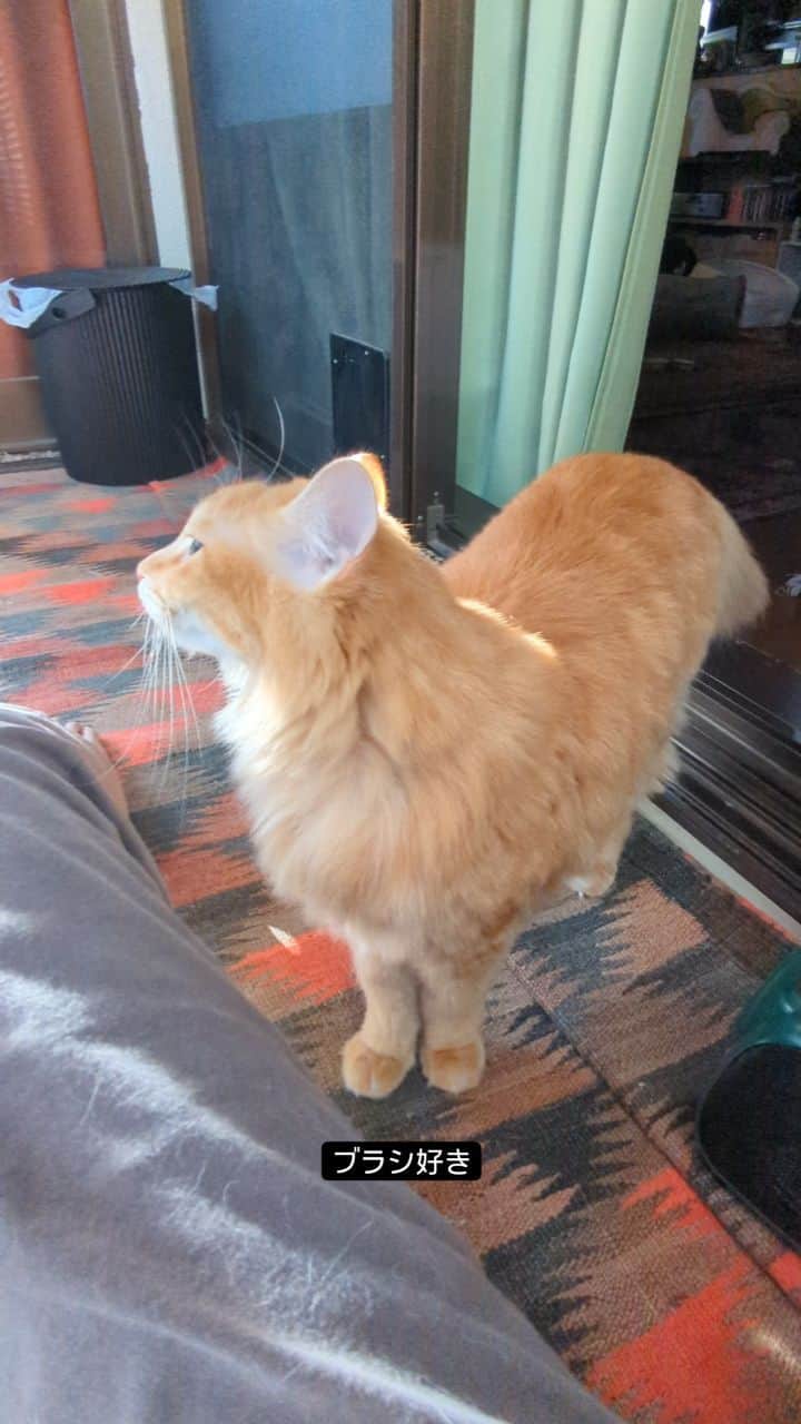 岡田屋鉄蔵のインスタグラム