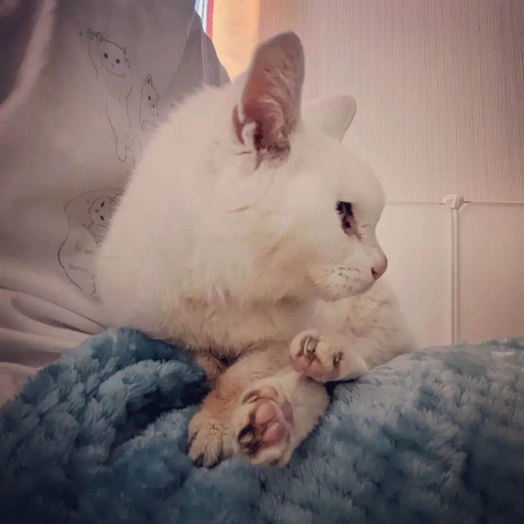 岡田屋鉄蔵のインスタグラム：「去年の今日。堀ノ内さん、向こうで元気にしてるかな。」