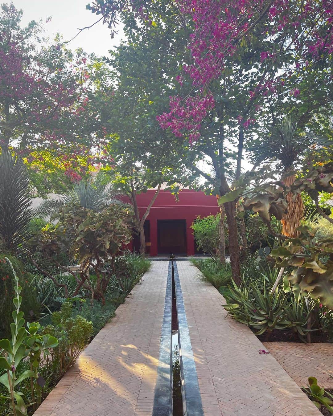村上瑠美奈さんのインスタグラム写真 - (村上瑠美奈Instagram)「La Jardin Secret🌵  旧市街にある植物園 とても美しくて空間の使い方や色が素敵。 こんな植物園日本にもほしいな🥺  モロッコは芸術的な街なんだと来てみてすごく感じる🕍🧕🏽🤍  #moroccotravel #marrakeshmedina #Marrakesh#marrakeshtravel #マラケシュ　#モロッコ観光#lajardinsecret #jardin #jardinsecret」10月28日 15時16分 - ruminamurakami