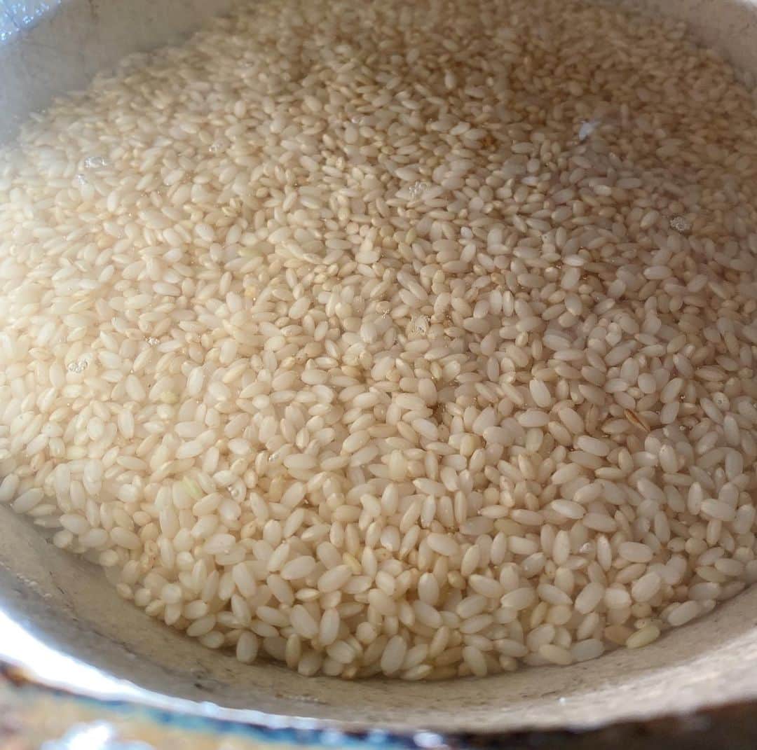 後藤しおりさんのインスタグラム写真 - (後藤しおりInstagram)「業務終了後に新米を使ってお米の炊き方の見直しと実験。味噌屋さんから頂いている課題にも取り掛かりました。自然物が変化していく過程はどこを切り取ってもうっとり見惚れてしまうので、ずっと料理をしていられる。」10月28日 15時22分 - shiorigoto_tou