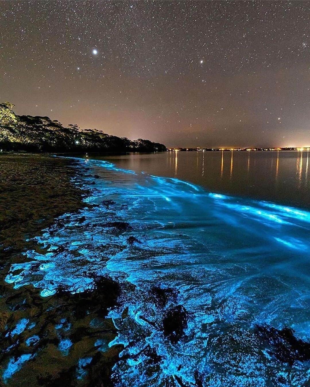 Earth Picsのインスタグラム：「🌌 This unusual natural phenomenon is called Bioluminescence and it’s caused by a reaction within plankton which creates swirls of glowing blue along the beach.   (📸: @jordan_robins 📍: Jervis Bay, Australia)」