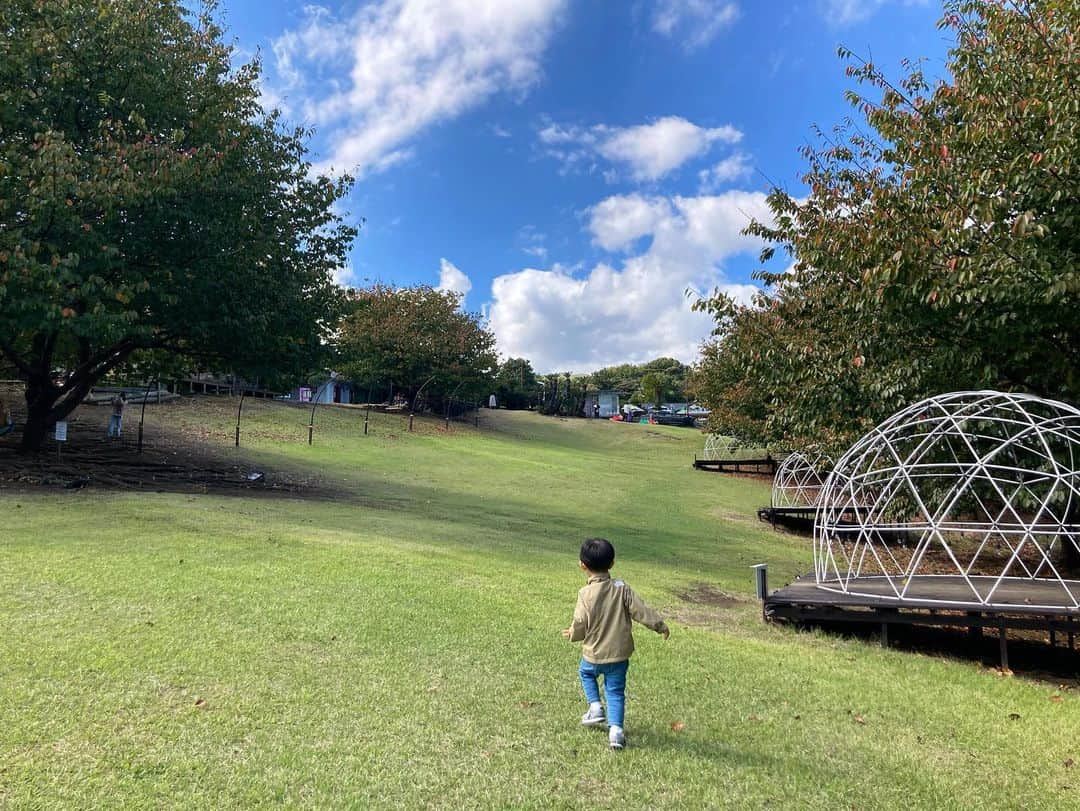 中山美香さんのインスタグラム写真 - (中山美香Instagram)「☺︎伊豆ぐらんぱる公園☺︎ 無料で遊べる遊具も沢山あって。 1日じゃ足りないくらい楽しい場所でした♪ 今回、自ら色んなアトラクションに挑戦した我が子。 怖がるかな〜と思ったものも楽しそうに乗っていて。 その成長に心がほくほくした1日でもありました☺︎ . . . #伊豆ぐらんぱる公園 #伊豆 #静岡 #踊り子 #電車 #子供とお出かけ #子育て #2歳男の子 #2歳 #備忘録 #日々のこと #思い出 #伊豆高原 #tbt」10月28日 16時28分 - mika5nakayama