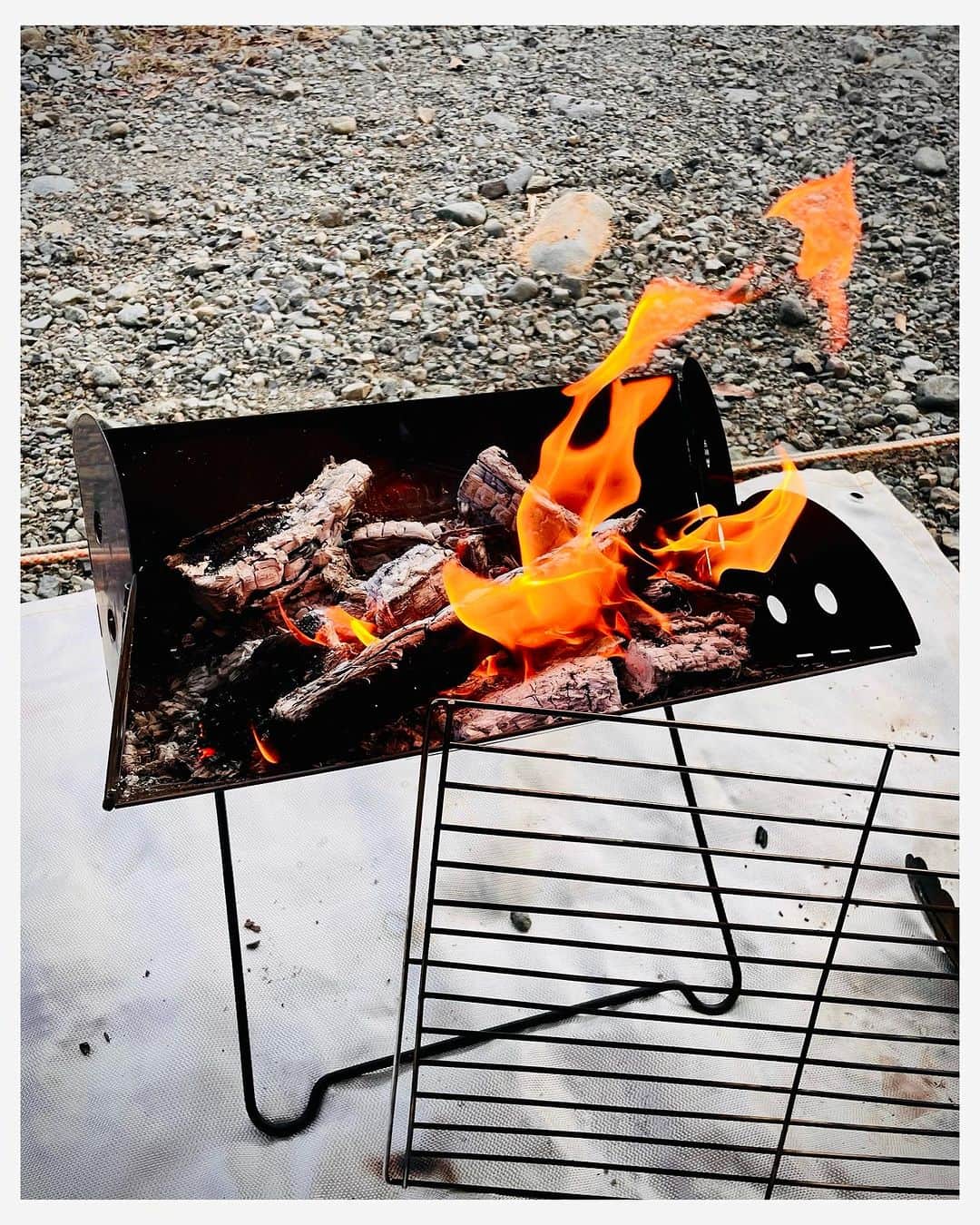 堀込泰行さんのインスタグラム写真 - (堀込泰行Instagram)「. 火の鳥の生まれる瞬間」10月29日 3時38分 - yasuyuki_horigome