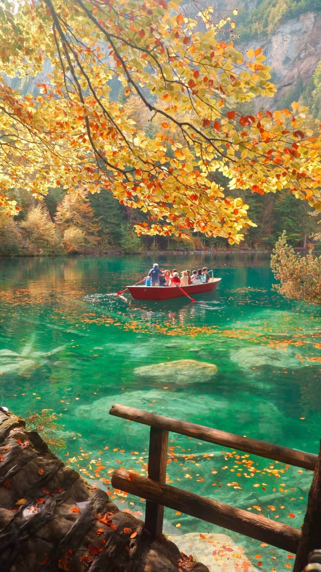 Wonderful Placesのインスタグラム：「The wonderful autumn colours of Switzerland 🍂  🎥 @travelsofali 📍 Lake Blausee  #switzerland #swissalps #lakeblausee #autumncolors #autumnvibes #fall #autumnleaves #autumn #switzerland_vacations」