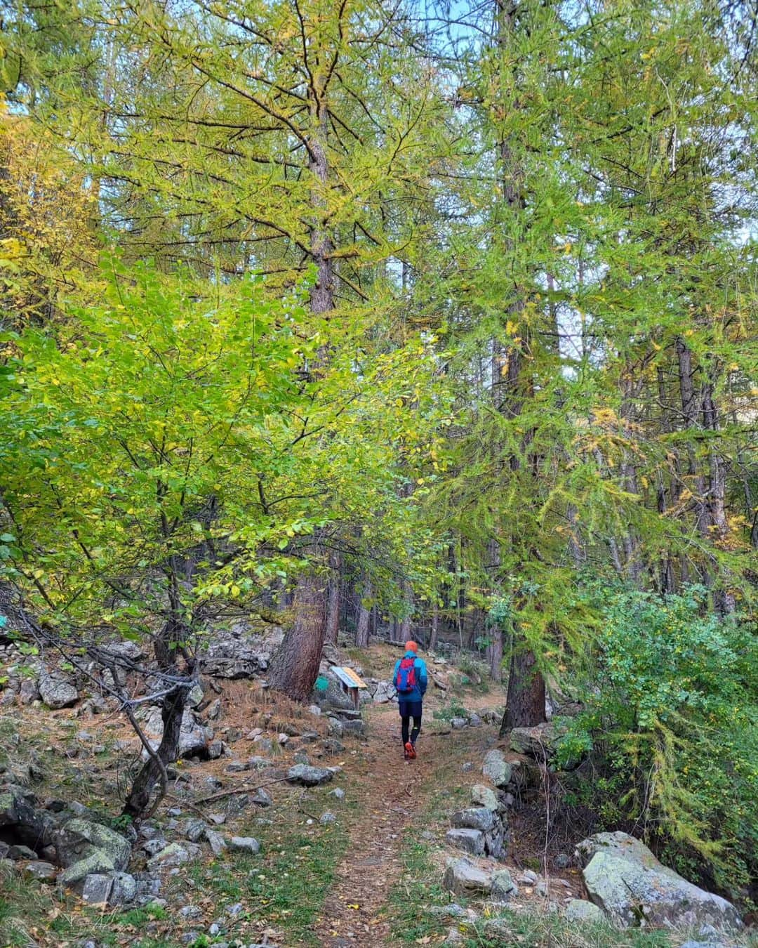 アリーゼ・コルネさんのインスタグラム写真 - (アリーゼ・コルネInstagram)「Ne jamais perdre des yeux l'essentiel ⛰️🌱🍁🌳🍂🌍  Mercantour mon amour 💚 L'une des plus belles randonnées qu'il m'ait été donné de faire 🙏 #mercilavie」10月29日 3時16分 - alizecornet