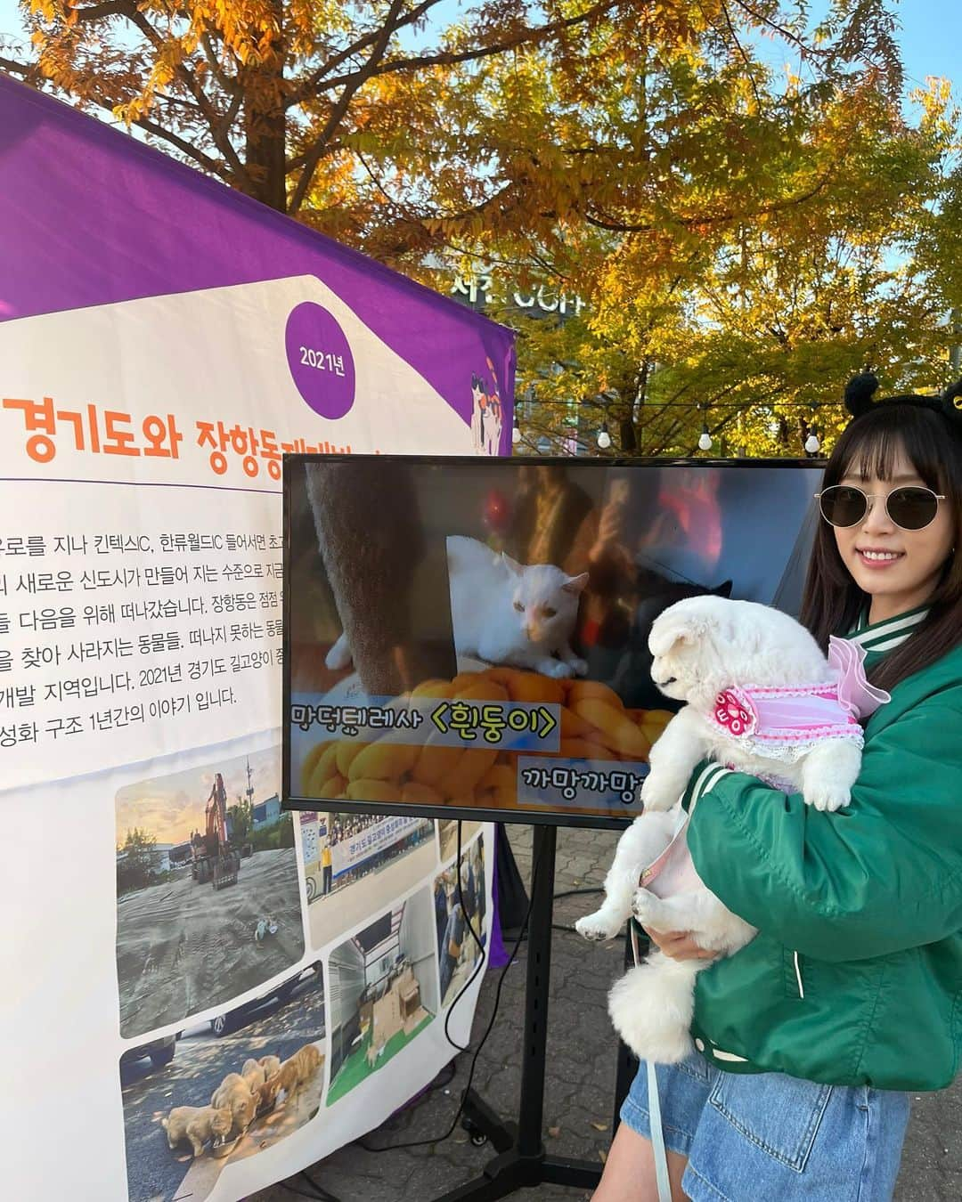 カン・イェウォンさんのインスタグラム写真 - (カン・イェウォンInstagram)「줄리와함께🩵  #동물교감치유문화제」10月28日 18時47分 - kangyewon0315