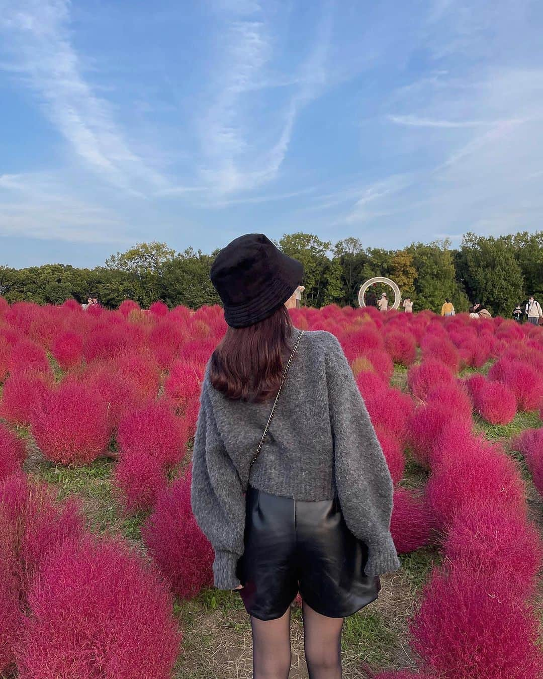 ムサシのインスタグラム：「初コキア🍂 ⁡ こんなにも赤いのね🥹 ふあふあでかわいかった♡ ⁡ ⁡ #outfit #ootd #秋コーデ #万博記念公園 #大阪 #コキア」