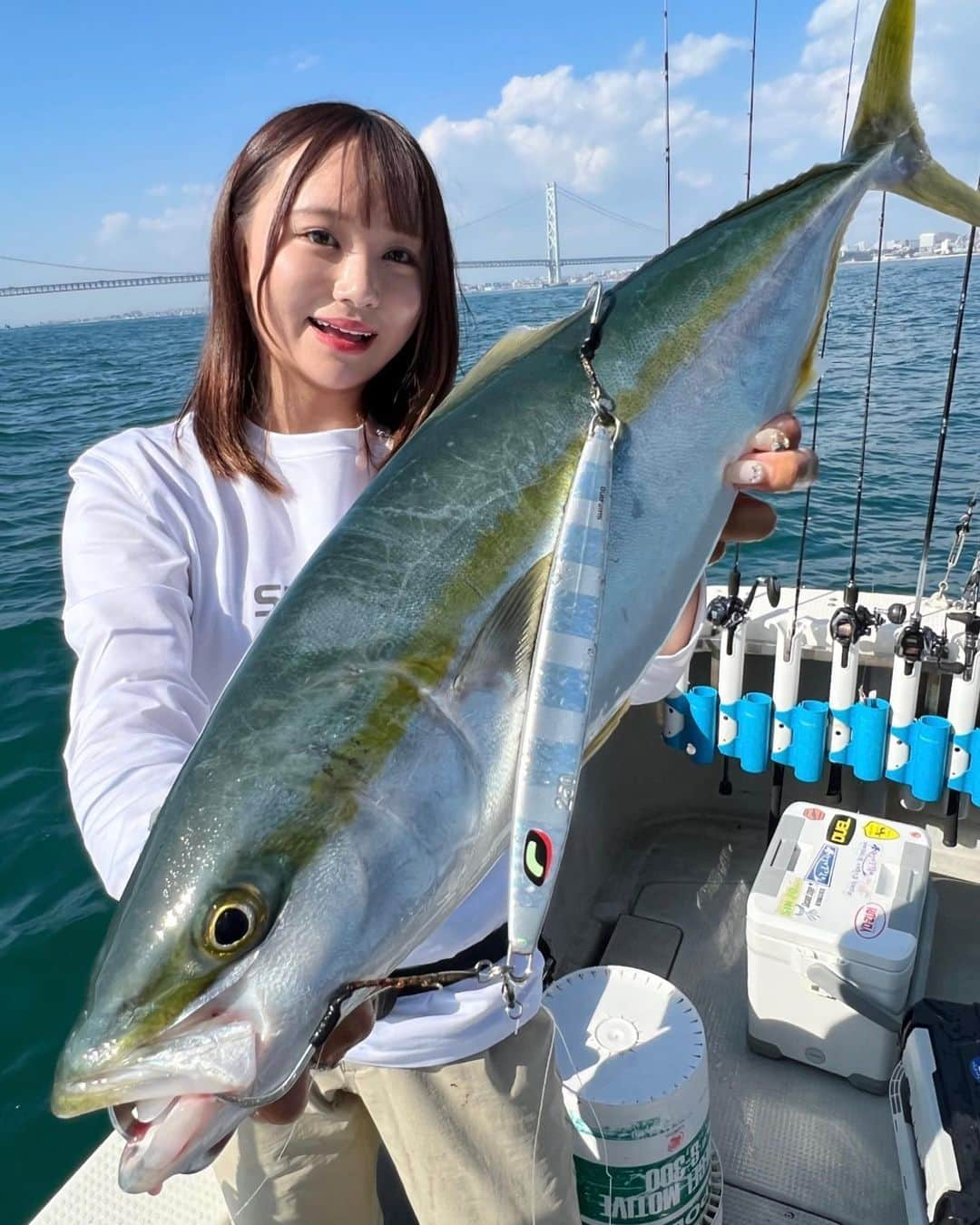 伊賀愛優菜さんのインスタグラム写真 - (伊賀愛優菜Instagram)「10月中旬の釣果！✨️  鰤、メジロ祭り🐟🌊 いい日は青物がつ抜けするぐらい釣れて 鰤も1日で2.3本釣れました😊‎🤍  高活性のタイミングでは ジグのフロントリアフック両方に ダブルで掛かってくるタイミングも！😳 めちゃくちゃ重たかった🤣  ちなみに最近は、ベイトがミックスなので タチパターンの食わせ方 イワシ、アジパターンの食わせ方 イカパターンの食わせ方等 しゃくり、レンジを変えて  ➕潮の速さに合わせて ジグの重さ長さを変えて アタリが多いパターンを探し出してます！  最近私がよく使うジグ⬇️ 潮が早い時は(3ノット~5.2ノット) セミロングのLongwaver 290~350g。 潮が緩い時は(1ノット~2.5ノットぐらい) セミロングのKingSlasher 200~240gや Longwaver200～250g。 カラーはその時のベイトや天候に合わせます。  こんな感じで明石の青物を引き寄せるように 釣ってます！ だからこそ釣った時に、食わせた瞬間を 味わえるしジギングが更に好きになる🤭💕  タックルデータ ロッド : SHIMANO  OCEA JIGGER FULLBEND B60-4 リール: SHIMANO  22NEW OCEA CONQUEST 300HG ジグ:(1枚目)SHIMANO OCEA Longwaver 250g ゼブラグロー  (2枚目)SHIMANO OCEA King Slasher 240g キョウリンシルバー (3枚目)SHIMANO OCEA Longwaver 320gフルシルバー (4枚目)SHIMANO OCEA Longwaver 290g ゼブラグロー ライン: TORAY  Jigging PE Power Game X8 2号 リーダー: TORAY  PowerGame LURE LEADER FLUORO 6号 ･  #青物 #青物ジギング #ジギング #明石 #明石ジギング #オフショア #アングラー #鰤 #釣り #SHIMANO #オシア」10月28日 19時14分 - ayugram_125