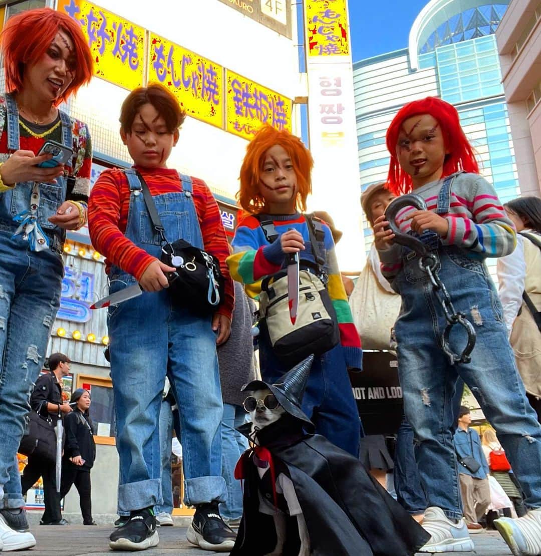 紋次郎のインスタグラム：「チャッキーに囲まれた😅 おニューのハロウィン服も格好いいんだけどやっぱりこのマントをきてしむう🤣 それにしても池袋のハロウィンのマナーの良さはすごすぎです。 ゴミは落ちてないし、無許可で写真撮る人もいない… 今年は海外のコスプレの人多かったなあ で、ほとんど、何の仮装かはわからなかった🤣  #dog#dogstagram#instadog#chihuahua#barkbox#mydogiscutest#buzzfeed#dog_features#fluffypack#barkpack#dogsofinstagram#犬#チワワ#手作り#handmade#着物#fashion#紋次郎一家#チーム茶#ふわもこ部#igersjp#peco犬部#dogfashion #whisky#ハロウィン」