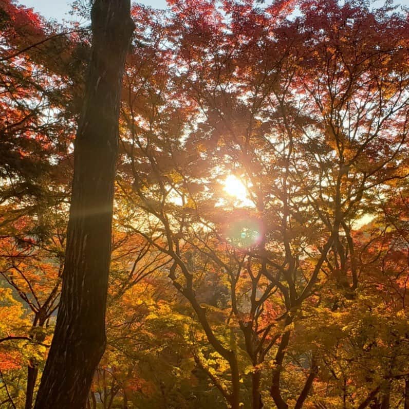 ビズーのインスタグラム：「🍁秋の色、あなたはどんな宝石を思い浮かべますか？  肌寒い日が増え、暖かな装いや飲み物が恋しくなる季節になりました。   緑から黄色、赤になり、散りゆく葉 短くなる陽、伸びる影、暖かく眩しい夕暮れ 更けていく空の色。   時間の経過とともに、色づき深まっていく この季節、この瞬間だけの、特別な美しさ。   本日は、色づき深まる秋のような色彩を捉えるジュエリーをご紹介します。  あなたが思う秋の色も、ぜひコメントで教えてください🍂  — #BIZOUX #ビズー #多彩な天然石」