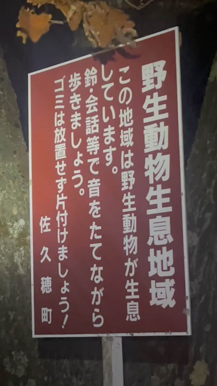 マーク・パンサーのインスタグラム：「夜の散歩でたまに出会う奴らww🦌💨#北八ヶ岳」