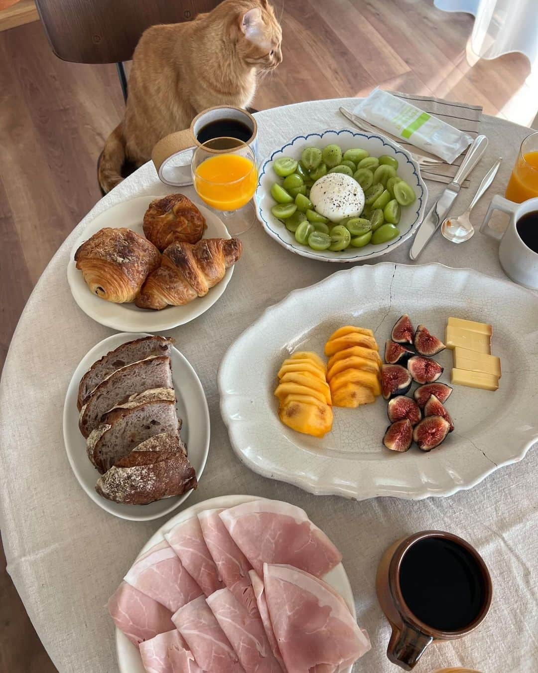 まつだみらいのインスタグラム：「週末のゆったりした朝食の時間🥣☕️ みんなから頂いた写真☺️🐈 季節の果物やチーズ、パンを摘みながら、 コーヒーのんだり紅茶のんだり。 時間を気にせずゆっくりできるのはとても贅沢な過ごし方だなぁと日々慌ただしく過ごしていると感じます。 リフレッシュタイムでした🫖🥐🍐 ちなみにマドは友人が来ていても余裕で私との世界に入って甘えます笑　superマイペース」