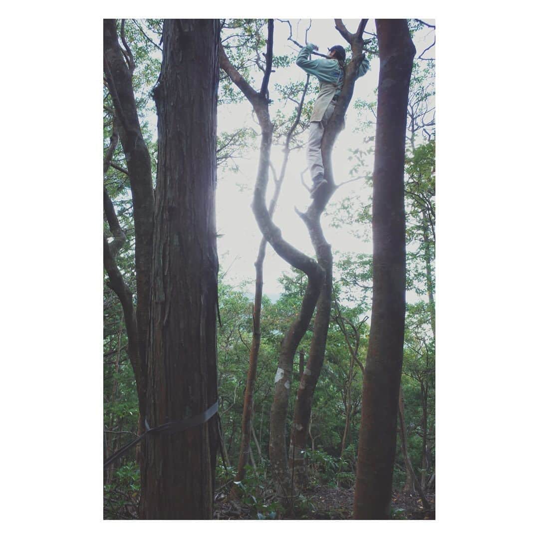 弥香さんのインスタグラム写真 - (弥香Instagram)「...............🌲👣🐒 木登り 登れるって楽しいね  この日は 山登りの先生が @kazuyay  ひょいっと木登りしてて 待ってました！とばかりに わたしの子供の頃のあの日(桜の木に登りさくらんぼをたべる)のように するすると木に登ってた  遠くに琵琶湖 鳥の声 そよそよ風がながれてて 木に身を寄せて一体化した気分  あ、よくよく考えれば 春に木の剪定でいろんな木に登ってたわ うふふ  山登りの土地粘土をみつけ ラッキー この日はテスト用に少しだけ  そのうち採りに登りにゆくからね  ゆっくりと 着々と  #木登り #山登り」10月28日 19時52分 - micanjuice