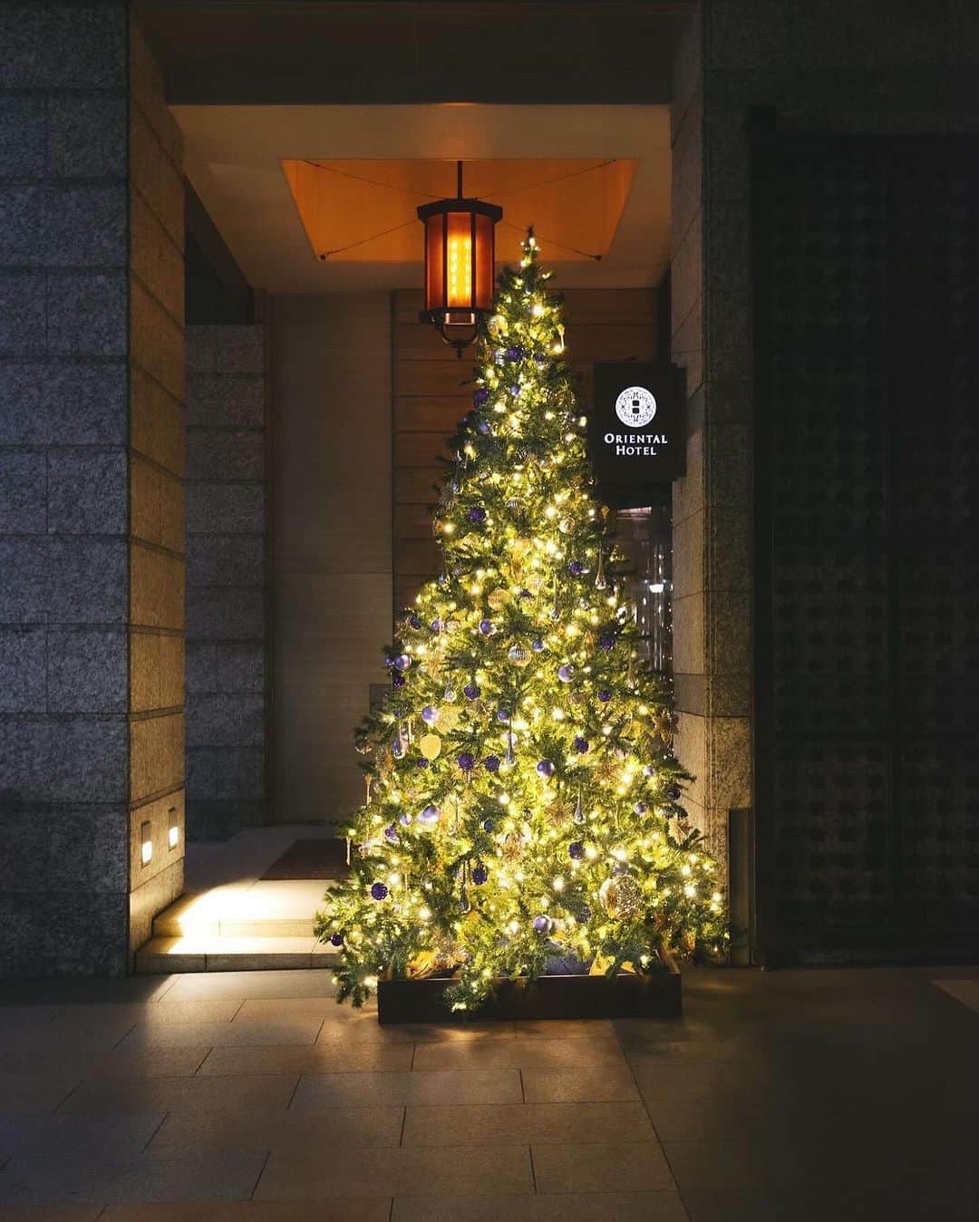 ［公式］オリエンタルホテル神戸・旧居留地のインスタグラム：「🎄 [ ORIENTAL HOTELのクリスマス ]  早いもので、 今年もクリスマスシーズンが近づいてきましたね。  ORIENTAL HOTELでは11月15日より ホテル全体のクリスマスデコレーションを 開始いたします。  今年はホワイト×アンティークゴールドをテーマカラーに 華やかな大人のクリスマスを演出します。 お越しの際はぜひこちらもお楽しみください。  また最上階レストランでは、 クリスマスディナーのご予約受付も開始しております。  年に1度だけ召し上がっていただける 特別なディナーコース。 こちらもぜひお楽しみいただければと思います。 ⁡⁡  クリスマスディナーの詳細・WEBご予約は ストーリーズハイライト 「XmasDinner」よりお進みください。  皆さまのクリスマスが、 いつまでも想い出に残る暖かい時間となりますように。 ⁡ ⁡ ＿＿＿＿＿＿＿＿＿＿＿＿＿＿＿＿＿＿＿＿＿＿ ⁡ 🎄17F 「MAIN DINING by THE HOUSE OF PACIFIC」 12月23日～25日 限定クリスマスディナーコース 黒毛和牛コース￥17,000 神戸牛コース￥21,000 ⁡ 🎄17F 「Steak house Medium Rare」 12月23日～25日 限定クリスマスディナーコース 神戸牛サーロインコース￥25,000 神戸牛フィレコース￥27,000 ⁡ ⁡⁡ ⁡ #orientalhotelkobe #christmasdinner #xmasdinner」