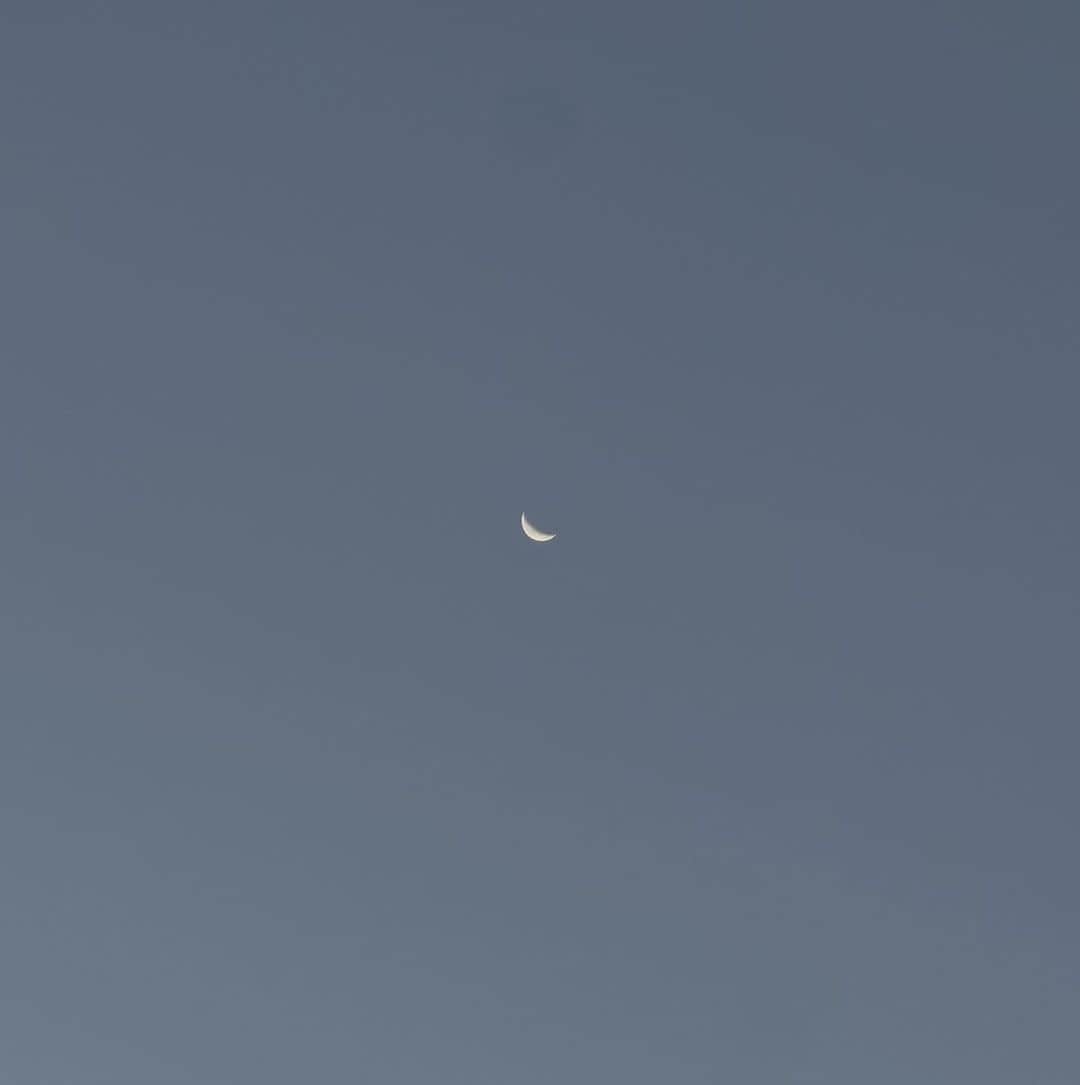 Carin Olssonのインスタグラム：「Always looking for the moon 🌙」