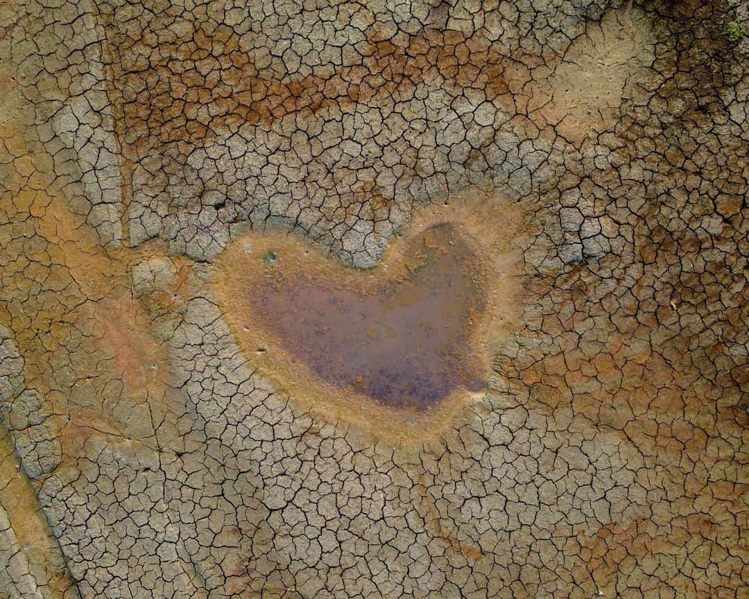 AFP通信さんのインスタグラム写真 - (AFP通信Instagram)「Aerial view of a heart-shaped puddle at Puraquequara Lake in Manaus, Amazonas State, Brazil. ⁣ The riverside population has suffered from the lack of water caused by the severe drought in the north of the country. The drought has dried up the rivers and made it difficult to travel between cities in the state of Amazonas. Water consumption has also been affected.⁣ ⁣ 📷 @fotomichaeldantas #AFP」10月28日 20時00分 - afpphoto