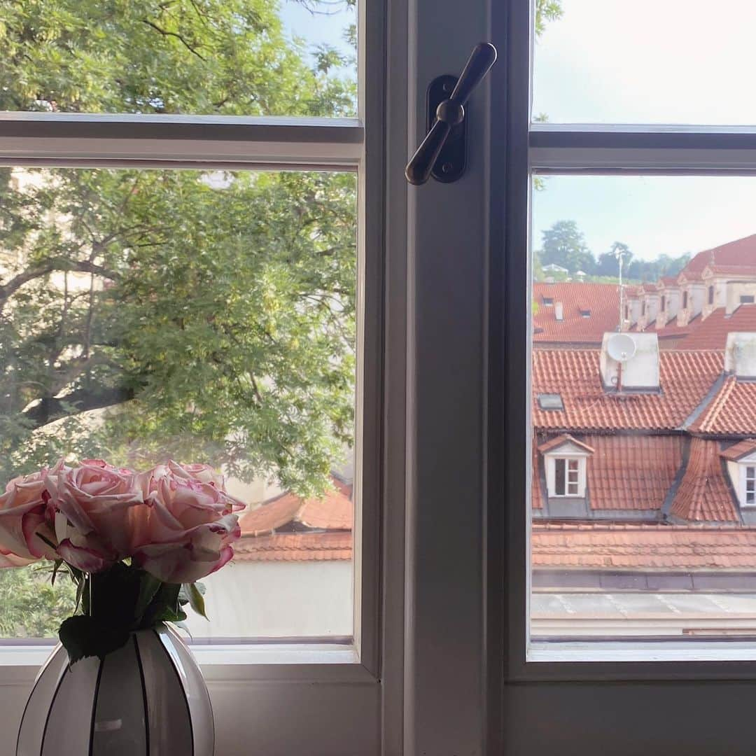 Yuka Kaedeさんのインスタグラム写真 - (Yuka KaedeInstagram)「. . Prague Roses❤︎ . . . . #_asyuka_ #prague #roses #roseoftheday #roseofinstagram #nothingisordinary #windowview #beautifulwindows #tv_lifestyle #lifestyle #tv_soft #flowerphotography #floweroftheday #flowerstagram #coffeeandseasons #naughtyteas #inspiredbypetals #floralinspiration #slowfloralstyle #floralartwork #floralart #花のある暮らし」10月28日 20時06分 - _asyuka_