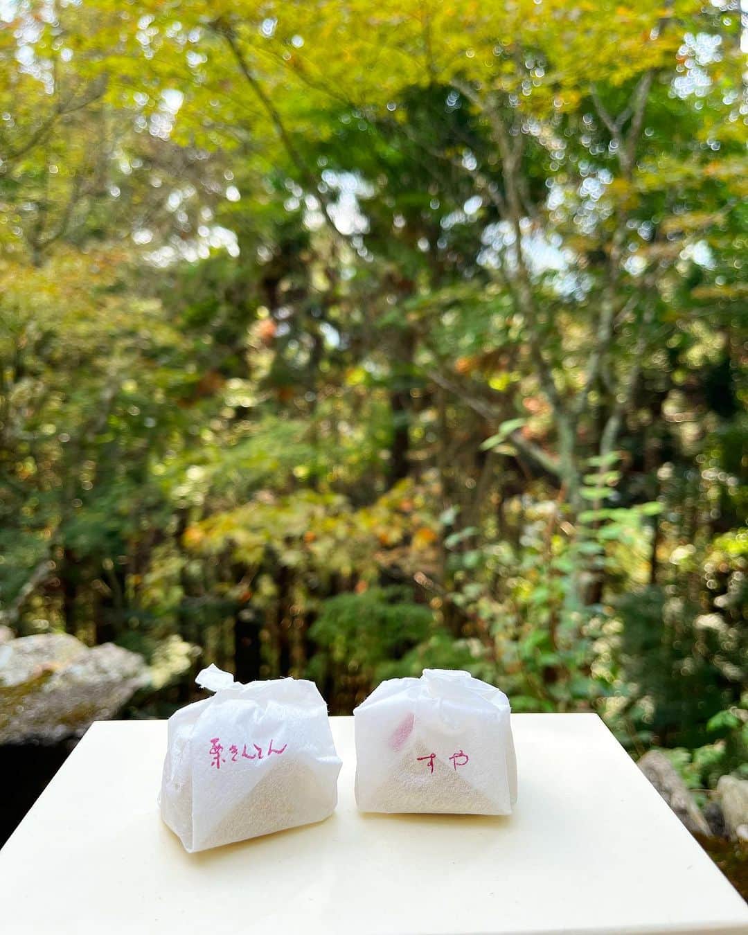 馬場典子さんのインスタグラム写真 - (馬場典子Instagram)「行動食？は どちらも頂きものの #すや の#栗きんとん と #村上開新堂 のクッキー😋  栗きんとん、かじっちゃったのバレちゃうかな😝 ピントがズレてるからセーフかな😆  #ばばちゃんネル #馬場典子」10月28日 20時07分 - baba_channel