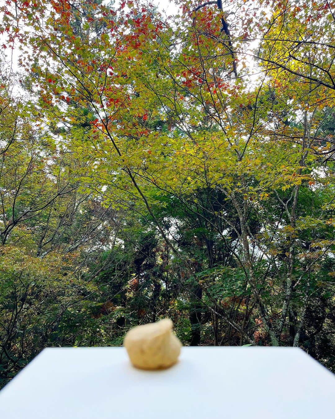 馬場典子さんのインスタグラム写真 - (馬場典子Instagram)「行動食？は どちらも頂きものの #すや の#栗きんとん と #村上開新堂 のクッキー😋  栗きんとん、かじっちゃったのバレちゃうかな😝 ピントがズレてるからセーフかな😆  #ばばちゃんネル #馬場典子」10月28日 20時07分 - baba_channel