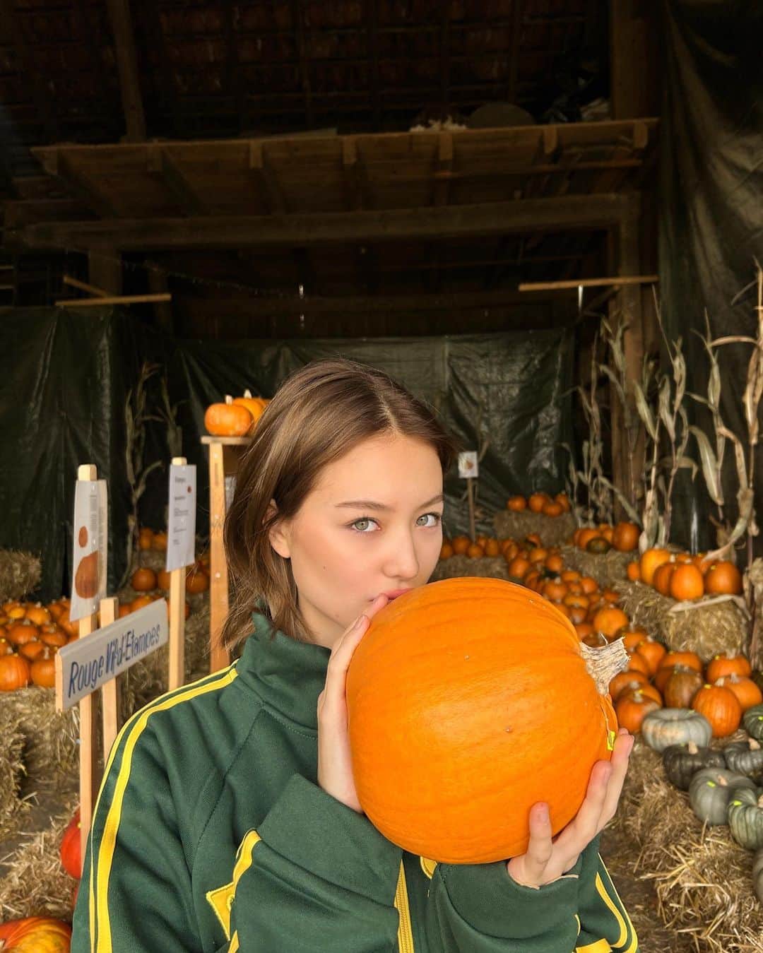 サクラ・キルシュのインスタグラム：「pumpkin season」