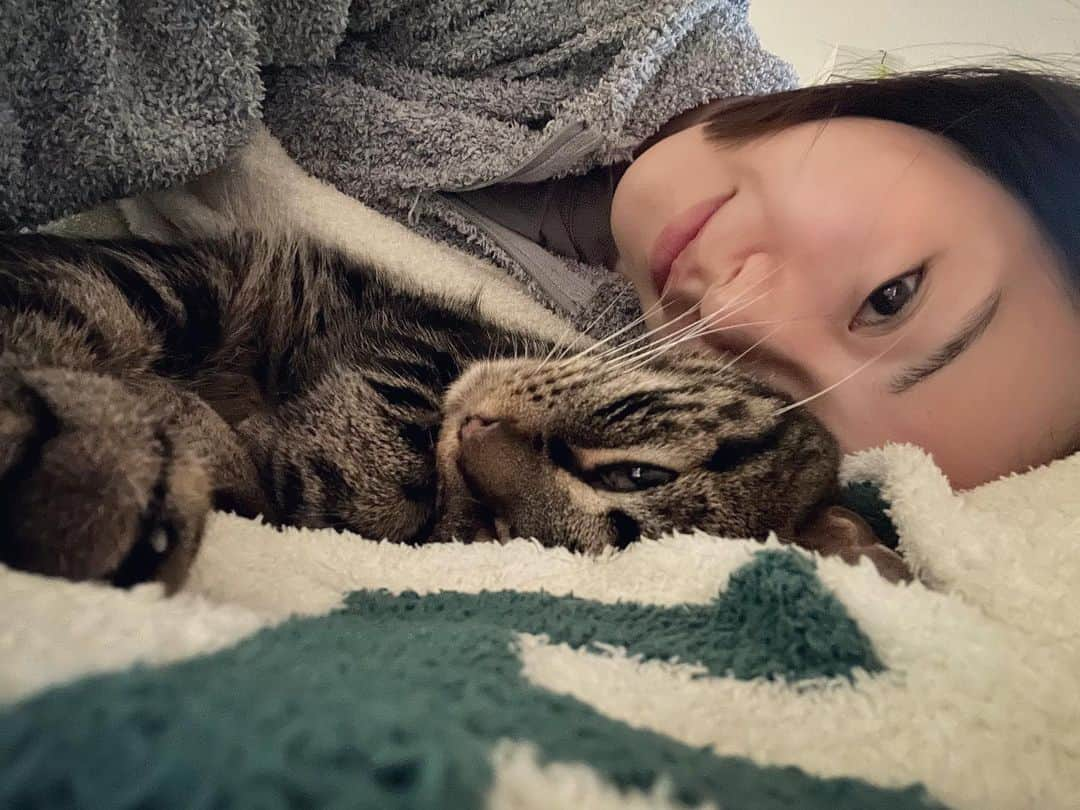 愛希れいかのインスタグラム：「寒くなってきたから、くっついて寝てくれるキャップさん🐱♡  うれしいけど寝返りうてない。 あるあるだよね。笑笑  しあわせだ🥰  #キャップ」