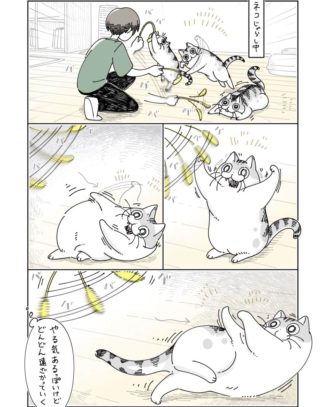 キュルZのインスタグラム：「とどきそうでとどかない  #キュルガ #夜は猫といっしょ #猫 #cat #猫漫画 #猫のいる暮らし」