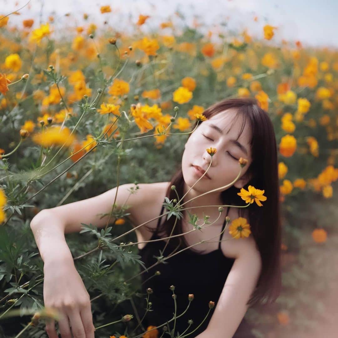 国分真央のインスタグラム：「. 120film 🌾𓂃 𓈒 𓂂𓏸 ⁡ 右手前のふんわりは指が入りました ☺︎ 笑　 ⁡ 二眼レフは見てるレンズと、 撮るレンズが違うので気をつけないと… でもいい感じになったので良しです💭  #rolleicordiv #rolleicord #120filmphotography」