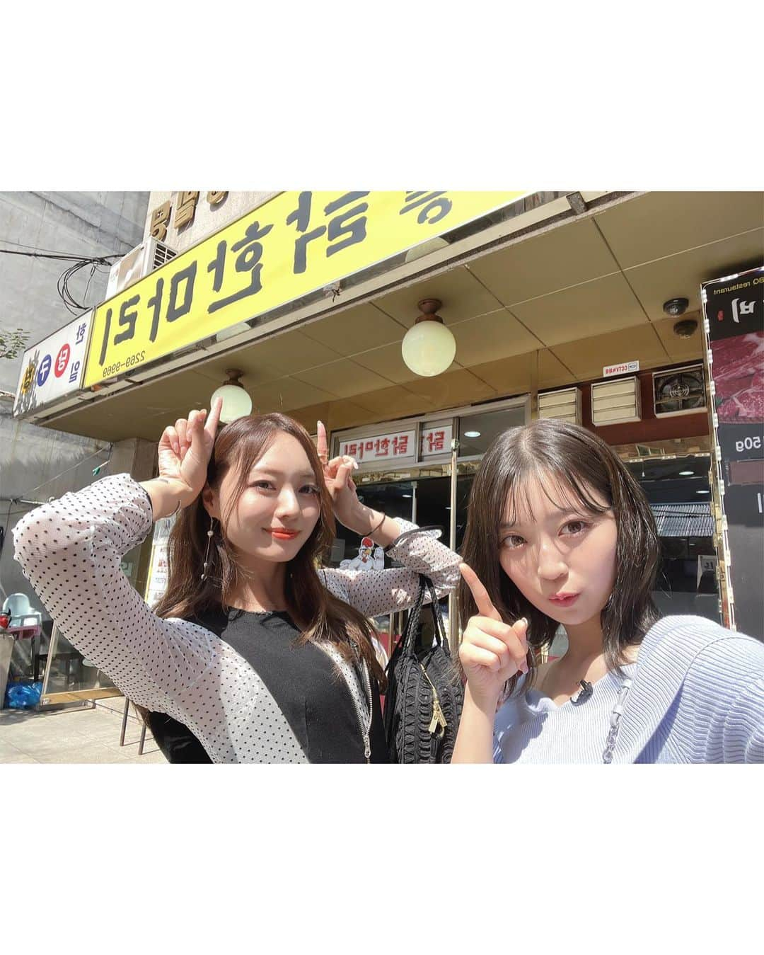 阪口珠美さんのインスタグラム写真 - (阪口珠美Instagram)「.韓国vlog ✈️  乃木坂公式YouTube 乃木坂配信中にて公開!!!!!  ずっとずっと 願っていた韓国ロケ。 叶えて下さったスタッフさん、 一緒に行ってくれた梅に感謝です。  私達と弾丸韓国旅楽しんで下さい。 行ってみたいなと思う方の 参考になれば嬉しいです。  ぜひみてね。♡  #乃木坂配信中  #たまみぐらむ #乃木坂46  #韓国旅行 #女子旅 #うめたま #여행 #카페#오오티디」10月28日 20時17分 - tamami_46_official