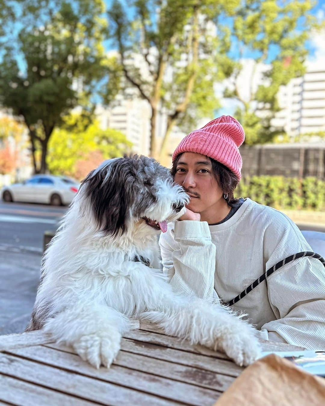 佐野岳のインスタグラム：「🐕たまらん！！ どっちも決められんとは思いますが、、 皆さんはどちらかというと、犬派？ 猫派？」