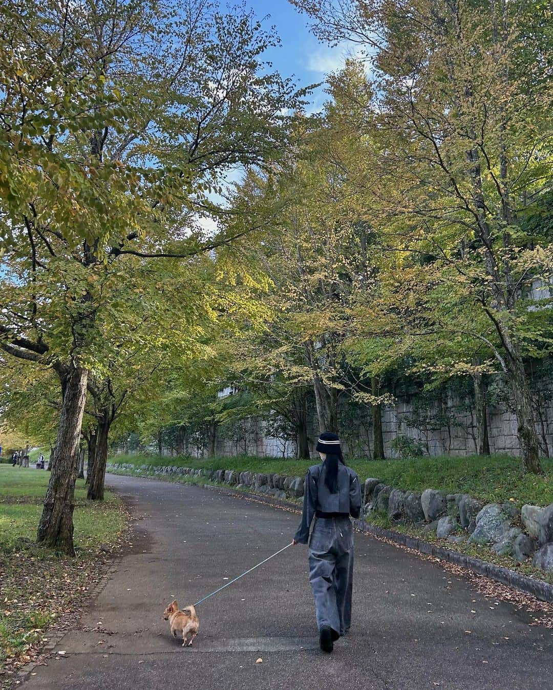 前沢海友さんのインスタグラム写真 - (前沢海友Instagram)「🍂🌱⛰️ ㅤㅤㅤㅤㅤㅤㅤㅤㅤㅤㅤㅤㅤ 最近実家に帰ったら皆でお散歩が日課 本当癒されて浄化される〜 ㅤㅤㅤㅤㅤㅤㅤㅤㅤㅤㅤㅤㅤ こんな自然に囲まれてる場所が地元は幸せ者 😩🌱  ㅤㅤㅤㅤㅤㅤㅤㅤㅤㅤㅤㅤㅤ #nature #sky #mountain #fashion #coodinate #newpost #fyp #l4l #自然 #癒しの時間 #コーディネート #私服」10月28日 20時55分 - maezawamiyu