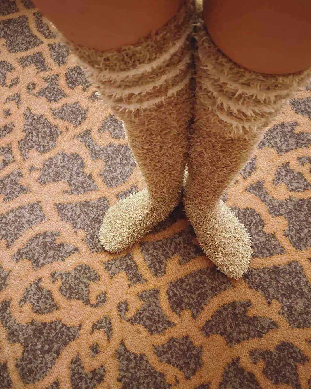 のインスタグラム：「もこもこ 太ももまであたたかい オススメ  おやすみなさい 明日もアナスタシア 感謝 #マルシア」