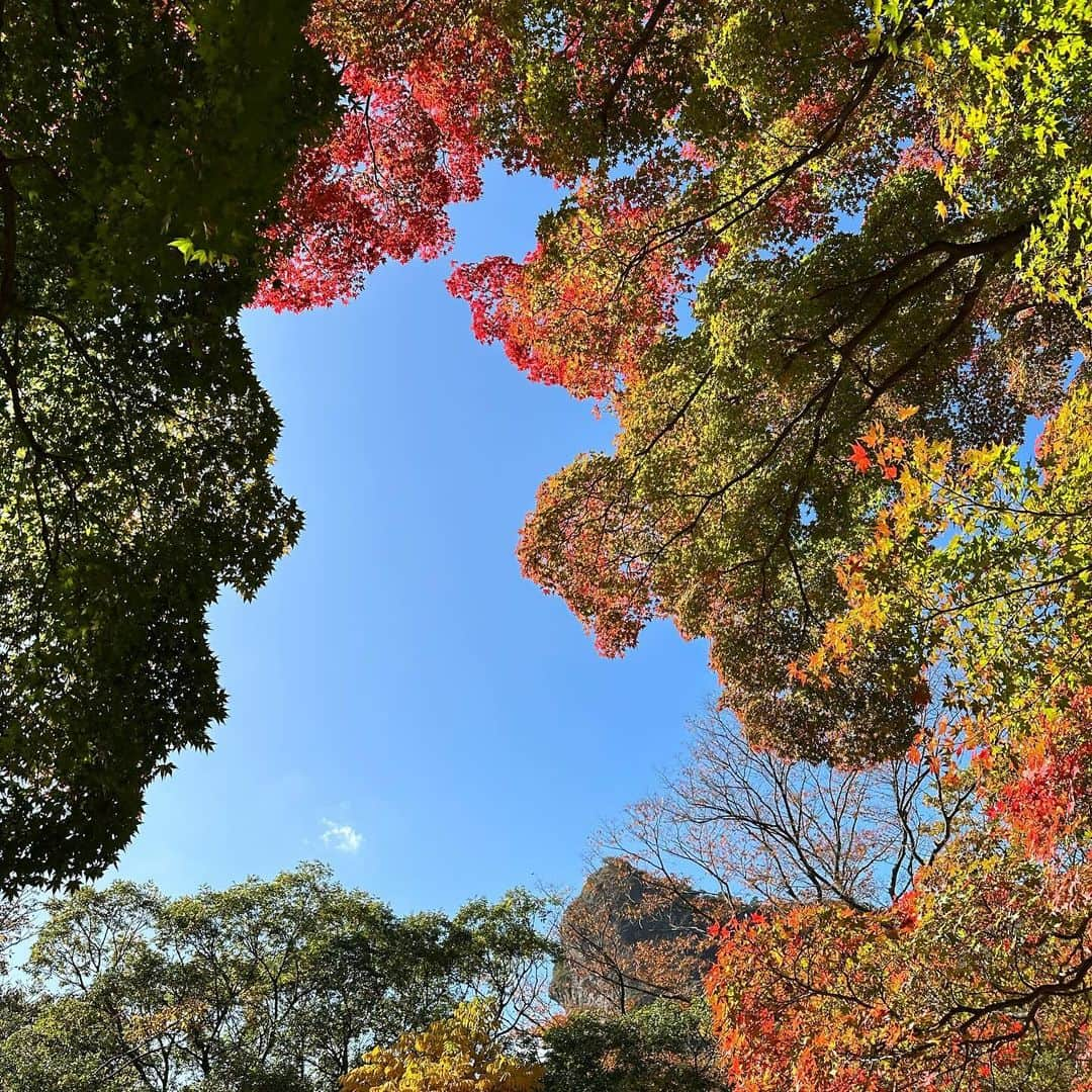 イ・ジュヨンさんのインスタグラム写真 - (イ・ジュヨンInstagram)「수련하기」10月28日 21時00分 - i_icaruswalks