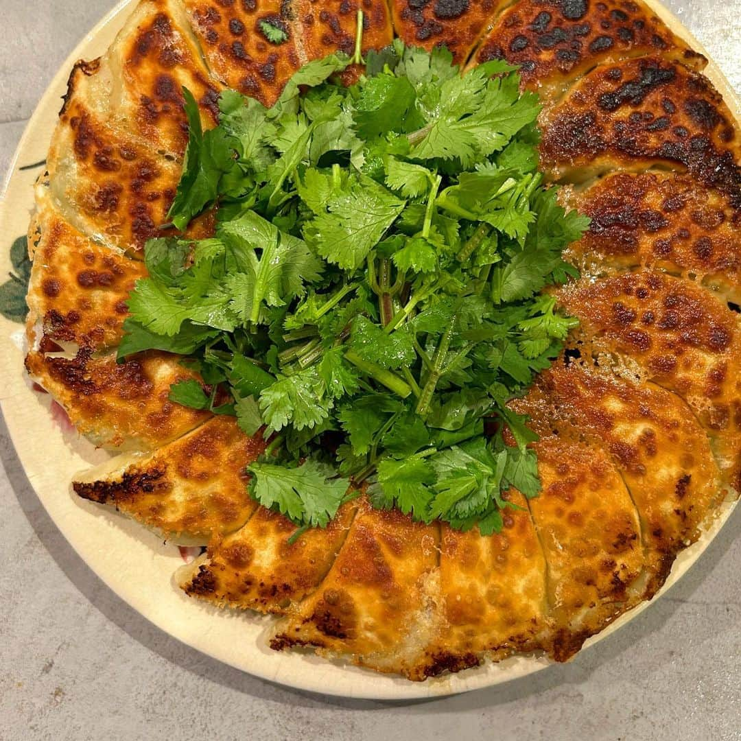 エダジュンのインスタグラム：「こんな時間ですが...  パクチー餃子🥟 焼きました🤤✨  綺麗に焼けてホッと😉  レシピは クセになる！パクチーレシピブックのやつです📚✨  #パクチー餃子 #餃子 #エダジュン」