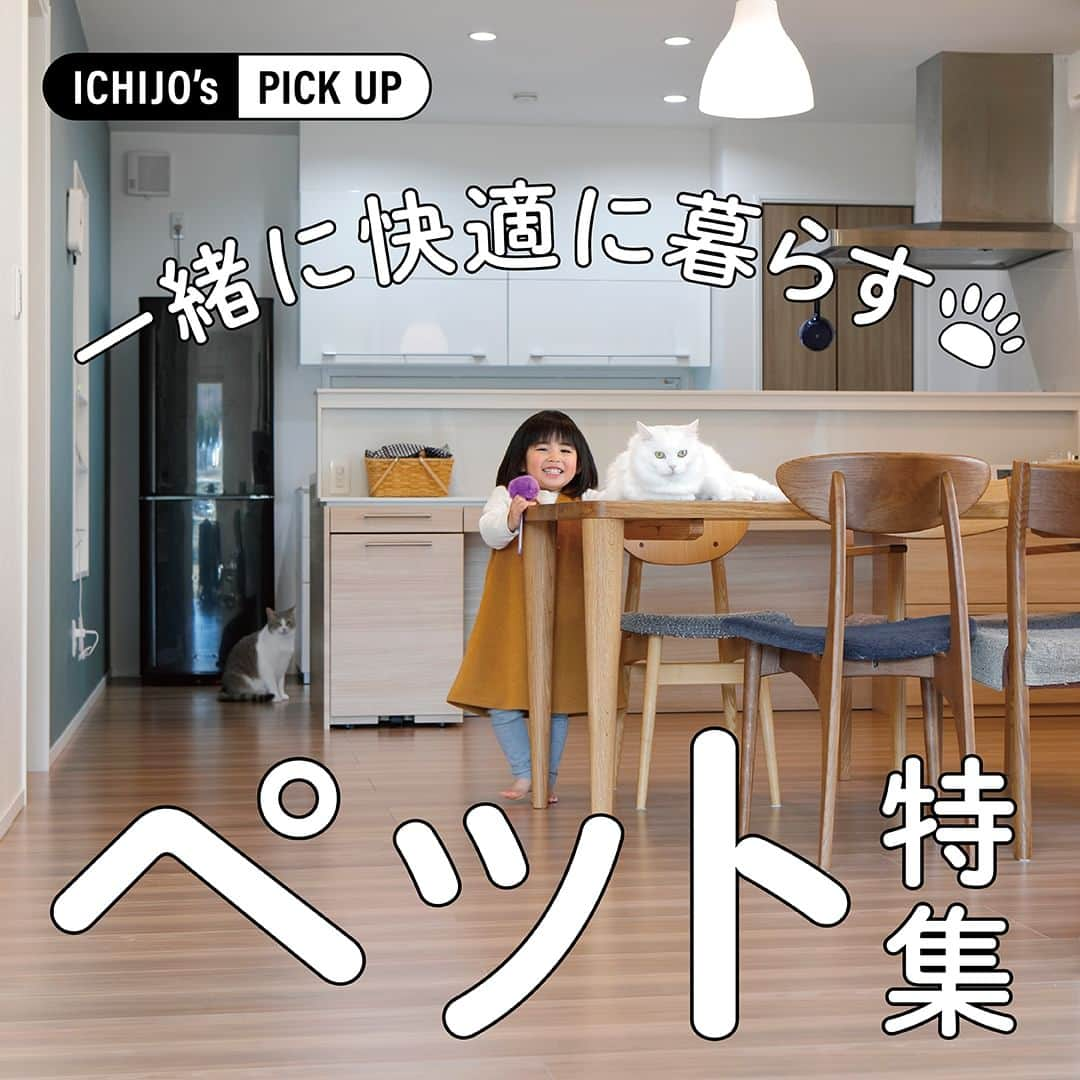 株式会社 一条工務店のインスタグラム：「【ICHIJO’s PICK UP！～ペット～】 住まいのかたちは、ご家族のライフスタイルや趣味などによってさまざまに変化します。 「ICHIJO’s PICK UP！」では、外観やリビング、子ども部屋など、カテゴリ別に写真をまとめてご紹介。 今回は「ペット特集」。ペットに寄り添ったプランや工夫など、ペットと過ごす楽しい生活風景をピックアップしました。 ぜひお気に入りの1枚を見つけてください！  #一条工務店 #家は性能 #ismart #アイスマート #収納 #階段下 #階段下収納 #窓辺 #ペット　#ペット写真　#犬　#犬のいる暮らし #猫 #猫のいる暮らし　#猫写真 #インテリア　#インテリアデザイン #すっきり暮らす #住宅デザイン #注文住宅　#暮らしを楽しむ #くらしを楽しむ #家づくり計画 #施工事例 #マイホーム #注文住宅 #家づくり #一戸建て #新築 #新築一戸建て」