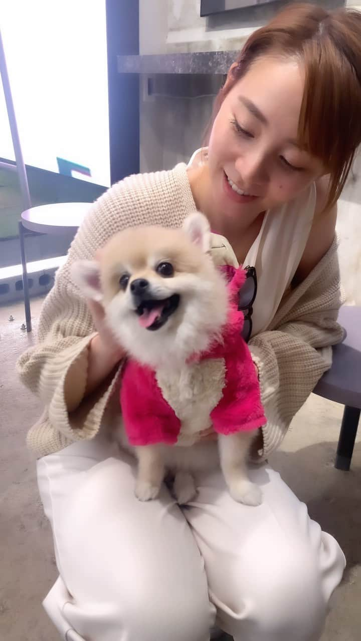 利水翔のインスタグラム：「可愛いすぎた🥺🩷 初めましてパルムちゃん🐶 ロッツォの仮装してました🥸笑  #ポメラニアン #わんちゃん  #わんちゃん大好き #癒し #dog #doglover #happy #ハロウィン #ロッツォ #わん #トイストーリー #着ぐるみ #わんすたぐらむ」