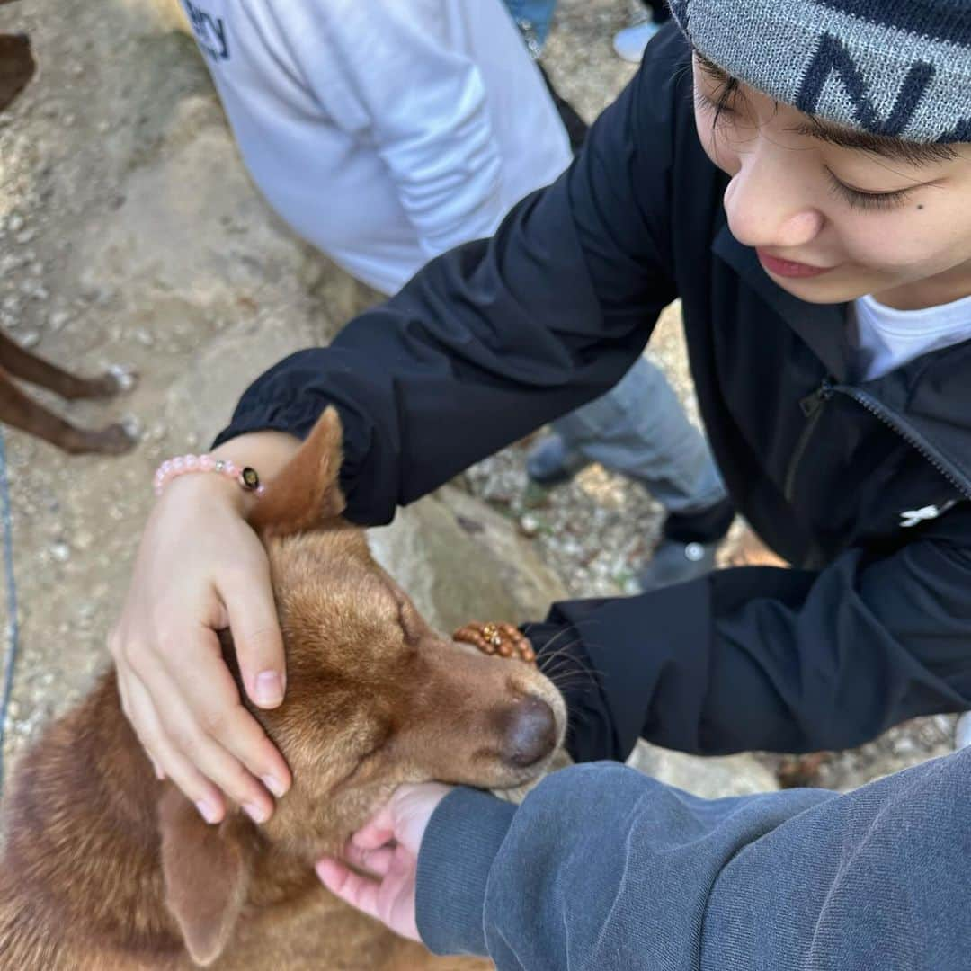 イ・ジュヨンさんのインスタグラム写真 - (イ・ジュヨンInstagram)10月28日 21時16分 - i_icaruswalks