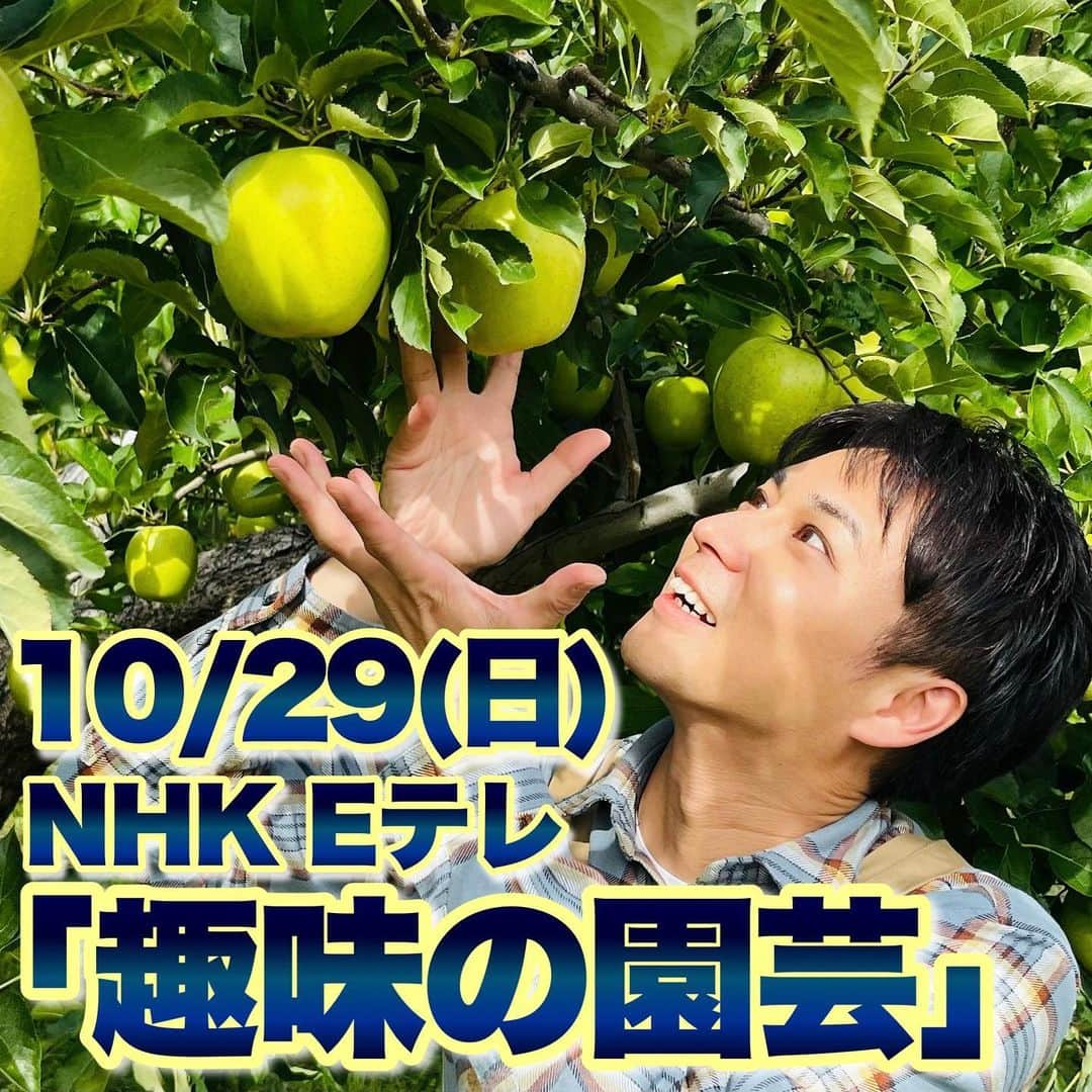 三上真史のインスタグラム：「明日、10/29(日)朝8:30〜放送の NHK Eテレ「趣味の園芸」に出演いたします。  今回は青森県弘前市へ！ りんごの生産者、工藤農園さんを訪ねます。  生産者さんならではのテクニックに、知られざるりんご栽培の歴史、そこには武士の魂が！？  さらに1本で2種のりんごを実らせる方法を私三上がお伝えいたします。  ぜひご覧ください。」