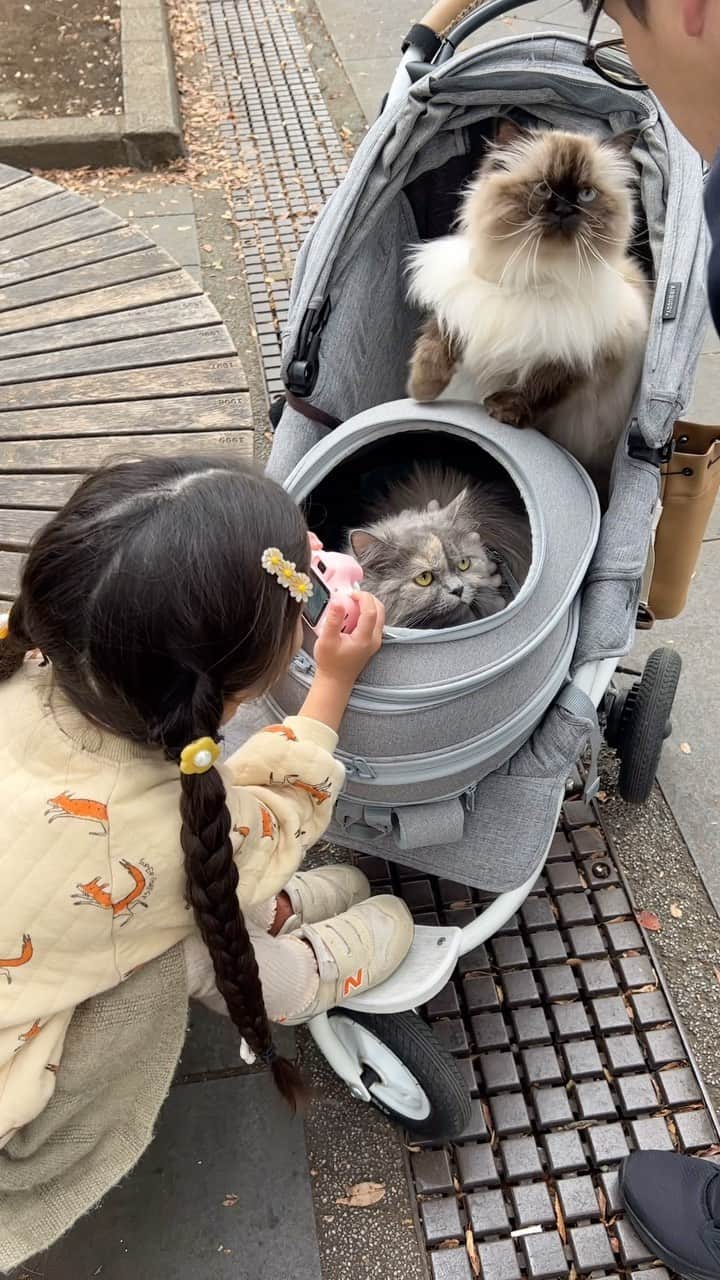 plumeのインスタグラム：「やっと皆でお散歩に行ける季節になって来たのが嬉しい🍂😌🙏  👧🏻お気に入りのマイカメラでママの真似っこ📸🙋🏻‍♀️ @marz_onlinestore さんの子供用デジタルカメラなんだけど、まぁこれがかなり本格的で🫢✨  手のひらサイズなのに🤲インカメラもあって、動画も撮れてUSBも対応してて👏ママの真似っこが大好きな👧🏻にピッタリ❣️ 何より子供目線の世界観が残せるのが嬉しいい🥹🫶🎞️ クリスマスプレゼントにもピッタリだと思うの🎄🎁  📸　@marz_onlinestore  #pr」