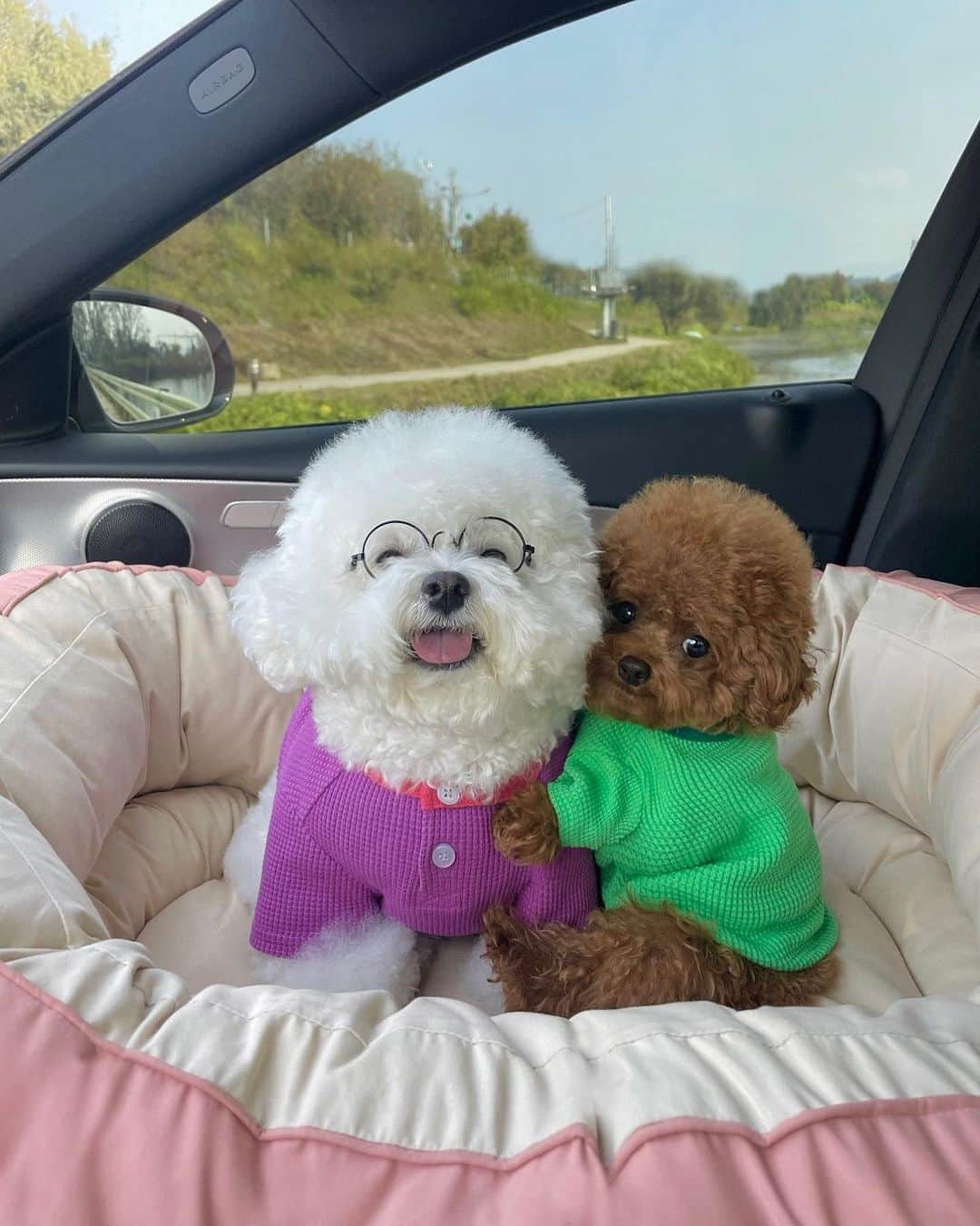 SHEINのインスタグラム：「Today's outfit inspo: 💜+💚 @arang2o_o  #SHEINinspo」