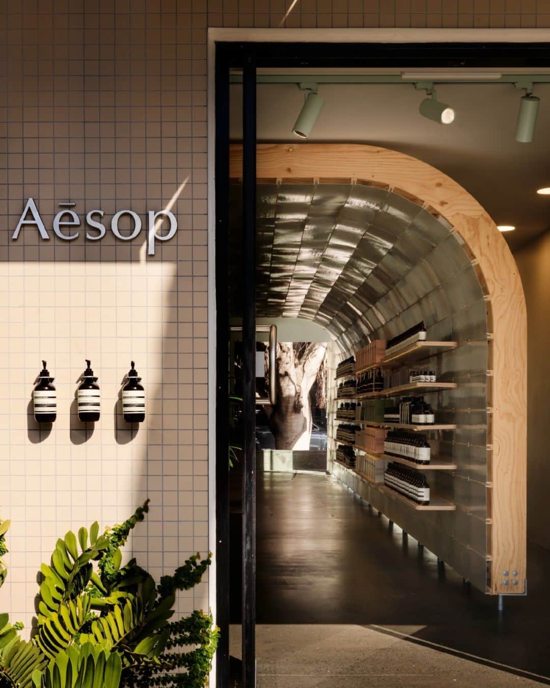 イソップのインスタグラム：「Undulating forms at Aesop James Street.   Situated in a leafy Brisbane precinct, this store’s interior is encased in a shell of curving fibreglass, its ethereal translucency effecting a light-filled enclave. This diaphanous material—used in kayaks and surfboards—is a subtle nod to outdoor activities in tropical Queensland. A collaboration with March Studio, the design blurs the line between interior and exterior, as large windows offer glimpses of the alien object within.   Designed in collaboration with @march_studio Photography by @trevormein」