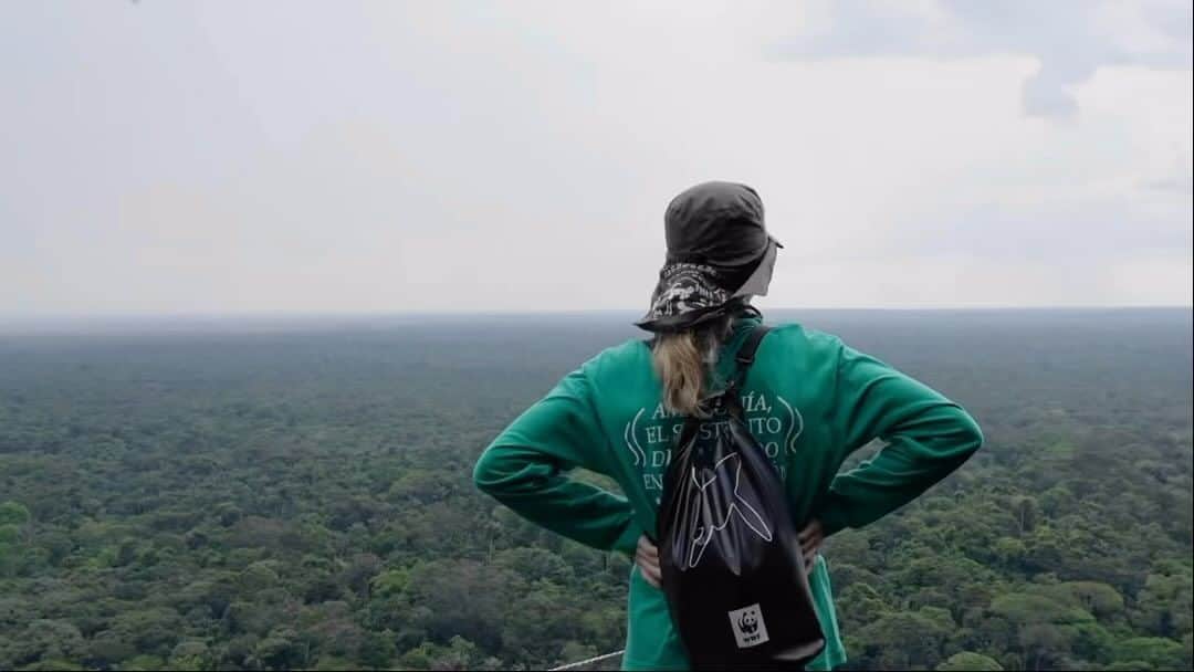 エリー・ゴールディングのインスタグラム：「Made by @archivegoulding 💚💚💚 Still dreaming of the Amazon. Take me back, etc 💔🦋」