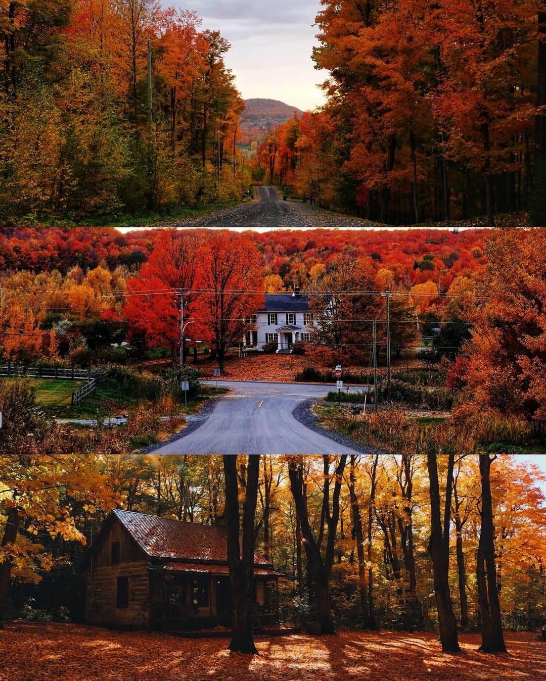 kaelのインスタグラム：「Scenes from autumn in Quebec🍂」