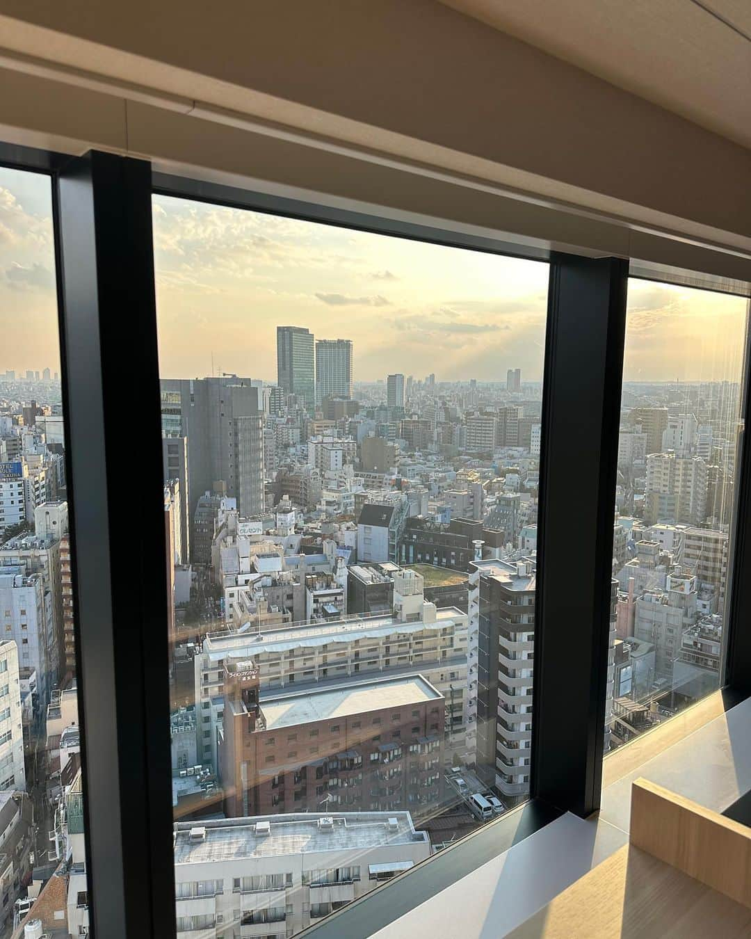 サンヌ・ヴロートさんのインスタグラム写真 - (サンヌ・ヴロートInstagram)「My 3rd time in Tokyo and it’s one of my favorite cities in the world! 🇯🇵   Whenever I visit Japan, I feel it has a way of clearing my mind. Someone else feel this?   Maybe it’s because of the organization, calmness and cleanliness that makes me really able to enjoy the finer details!」10月28日 22時48分 - sannevloet