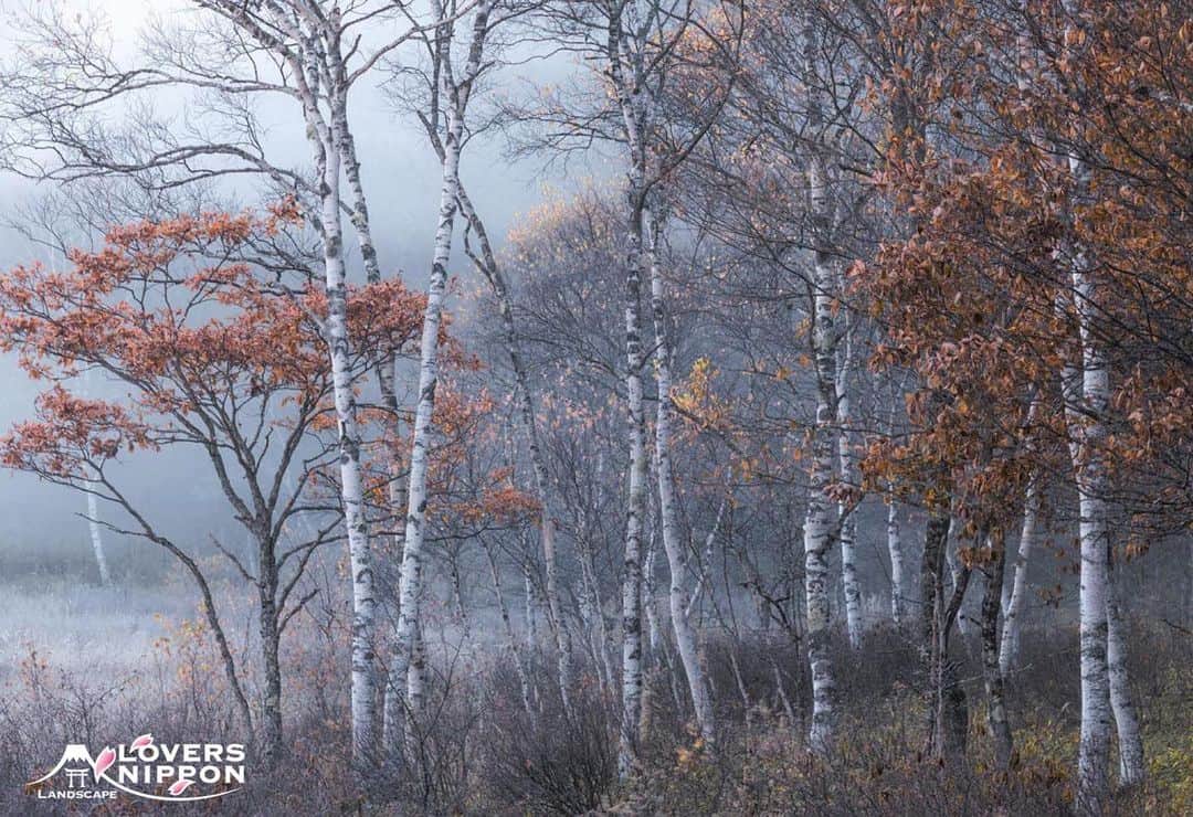 Only Japanese photographsのインスタグラム：「🇯🇵Today's LoversNippon Selection🇯🇵 . Artist｜@hideakimashimo Selected｜@nakashi726 . Follow : @lovers_nippon Tag : #lovers_nippon ＿＿＿＿＿＿＿＿＿＿＿＿＿＿＿＿＿＿＿ ￣￣￣￣￣￣￣￣￣￣￣￣￣￣￣￣￣￣￣￣ @hideakimashimo 様 おめでとうございます✨ 素敵な作品にタグ付けありがとうございます🙏 今後ともLoversNipponを宜しくお願い致します✨ ＿＿＿＿＿＿＿＿＿＿＿＿＿＿＿＿＿＿＿＿ ￣￣￣￣￣￣￣￣￣￣￣￣￣￣￣￣￣￣￣￣ #日本 #風景 #写真 #風景写真 #scenery #nature」